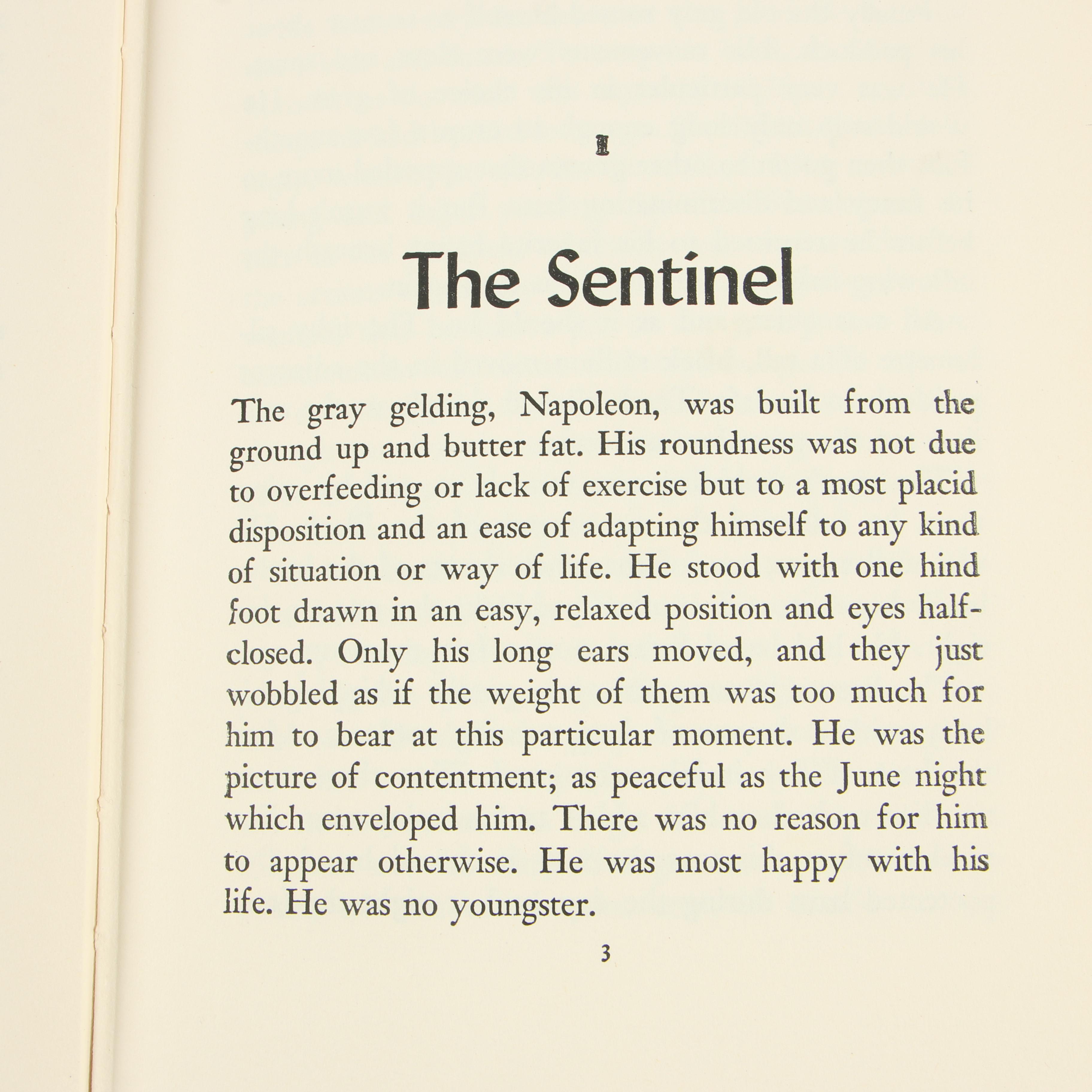 "The Black Stallion" Book Series by Walter Farley, Six Volumes