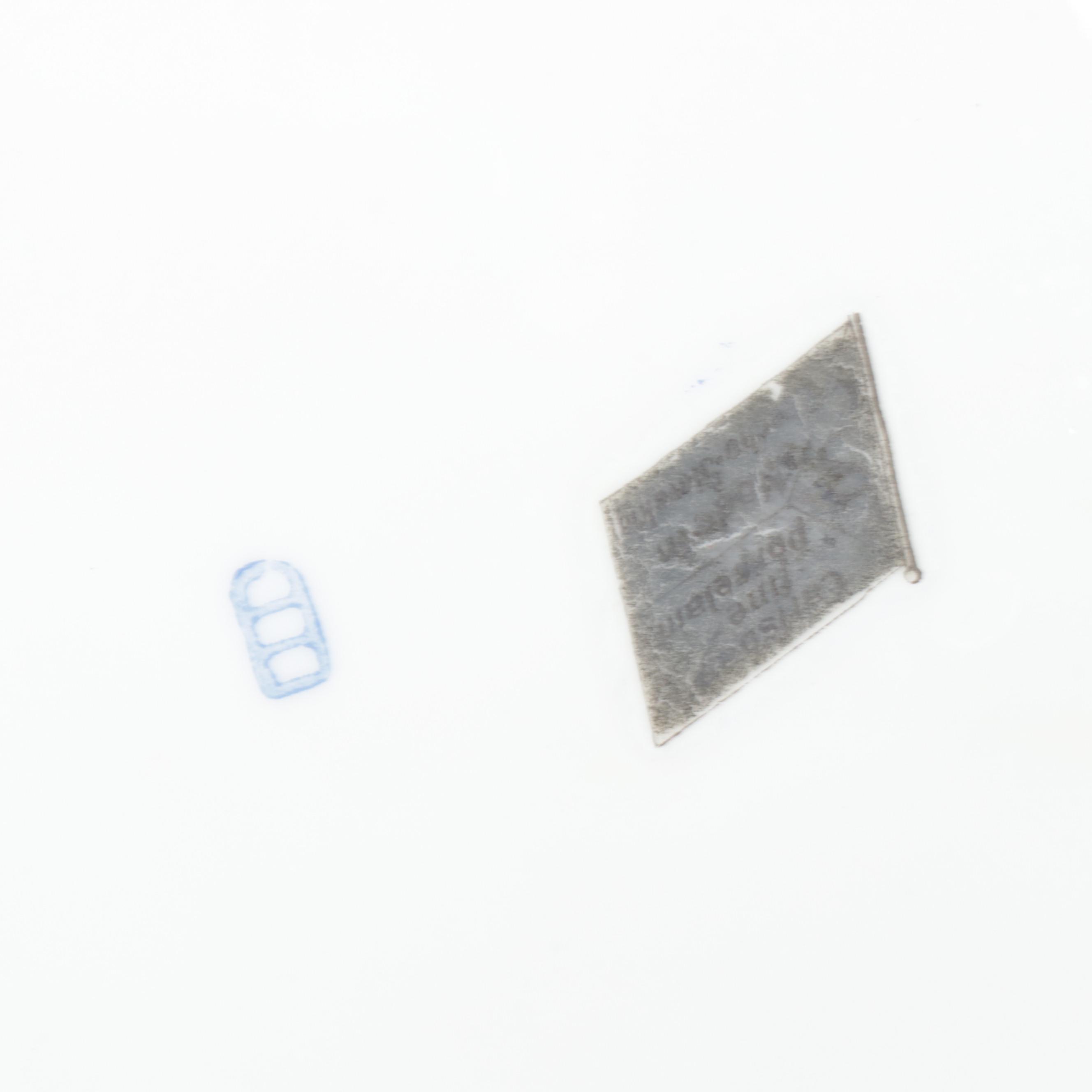 Friedrich Simon Carlsbad Czechoslovakia Porcelain Dinner Plates, Early 20th C.