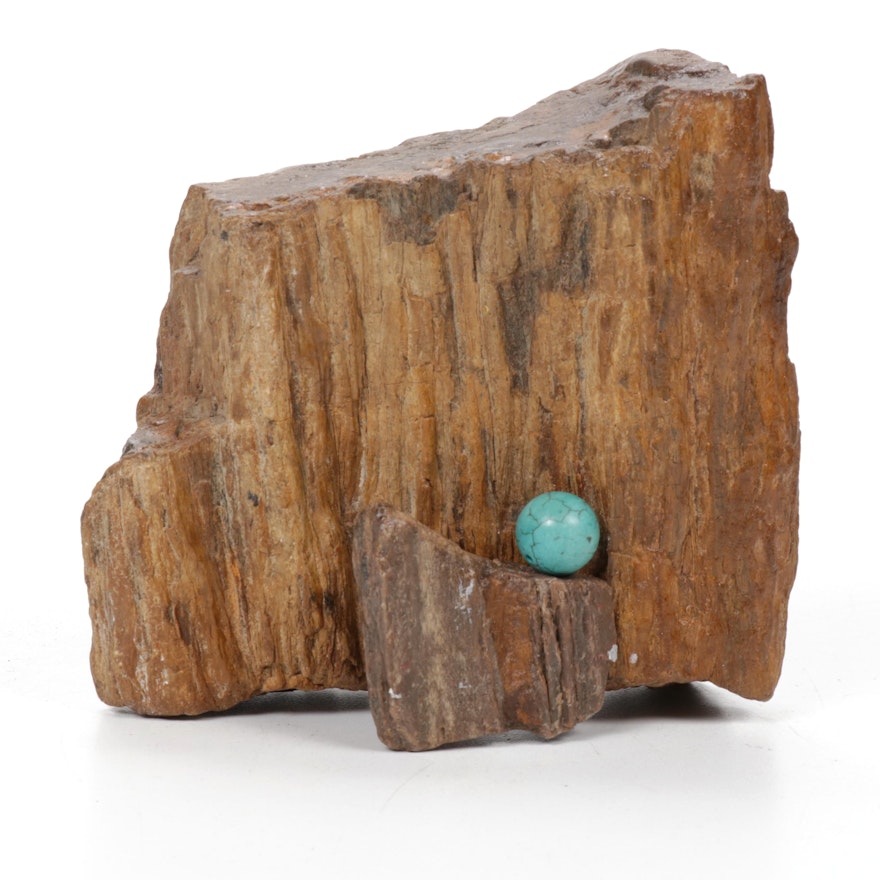 Hal Stevens Petrified Wood and Dyed Howlite Assemblage