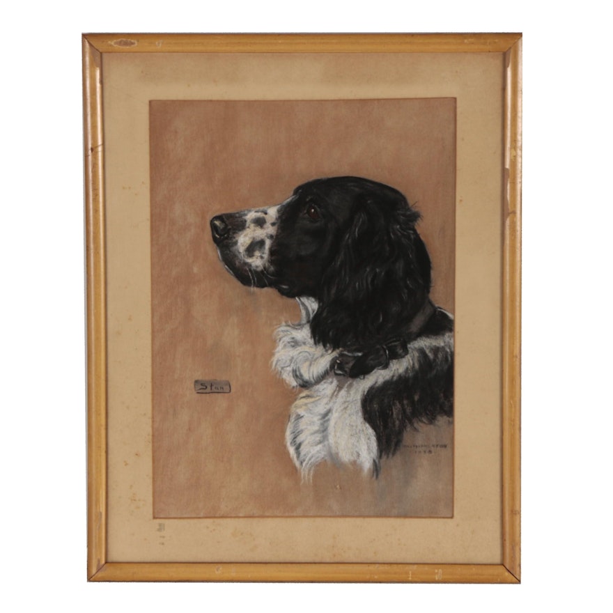 Bill McPherson Pastel Drawing of Dog "Stan"