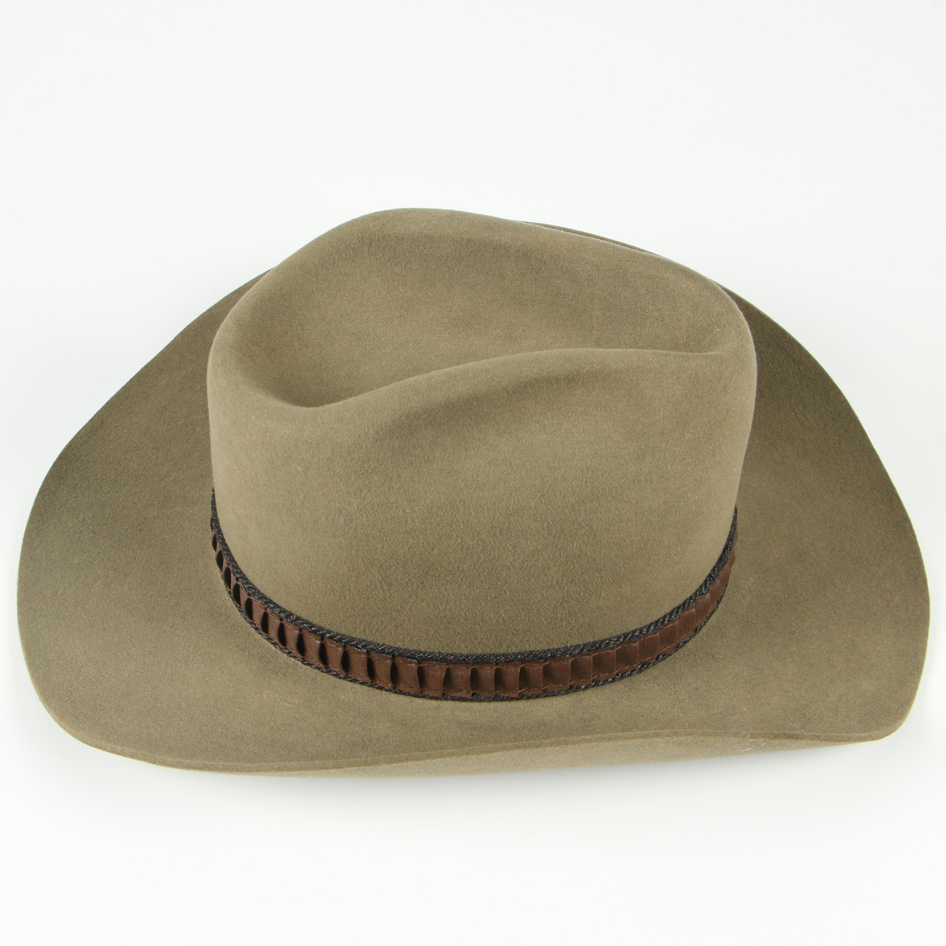 Stetson 3X Beaver Felt Cowboy Hat in Sage with Braided Band and JBS Lasso Pin