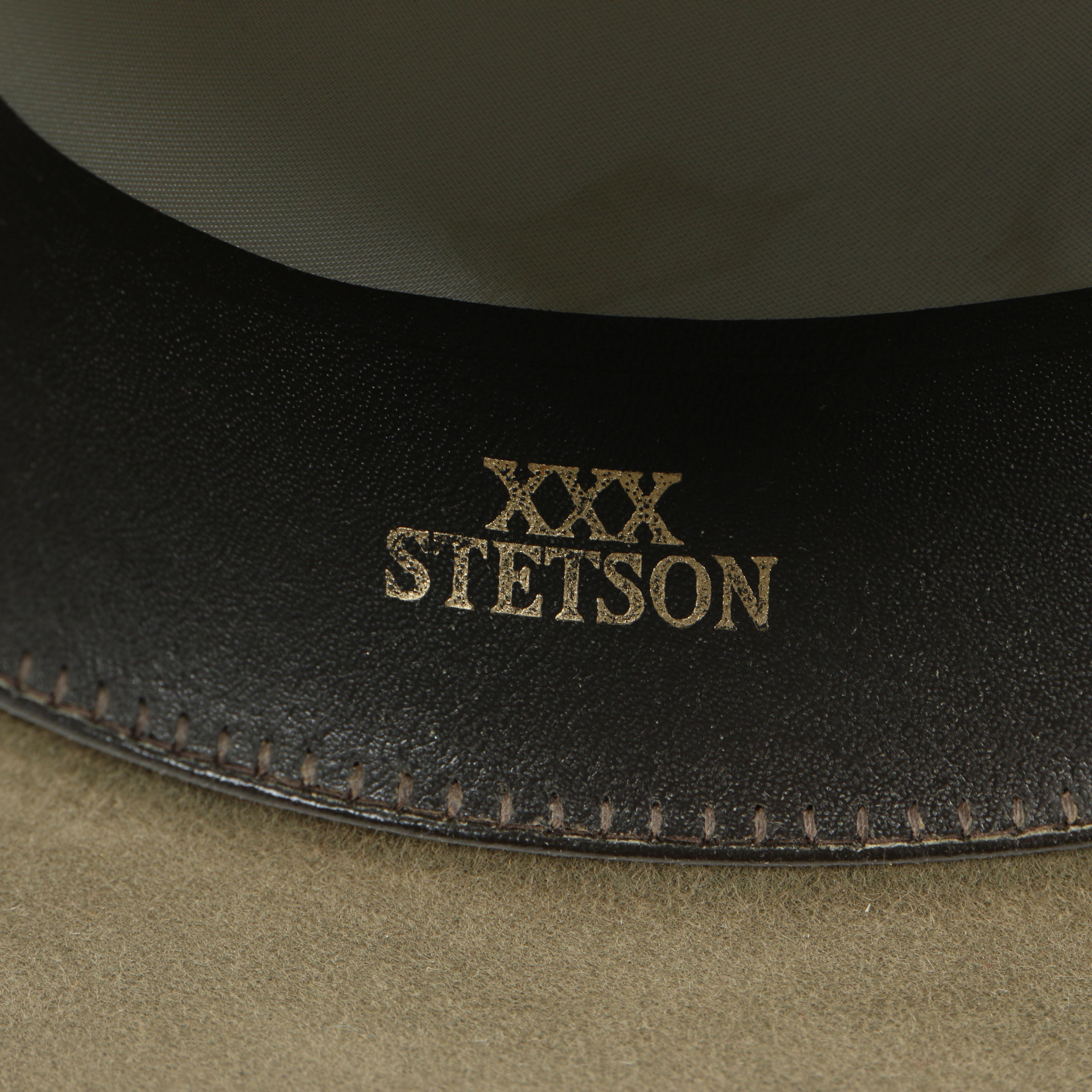 Stetson 3X Beaver Felt Cowboy Hat in Sage with Braided Band and JBS Lasso Pin