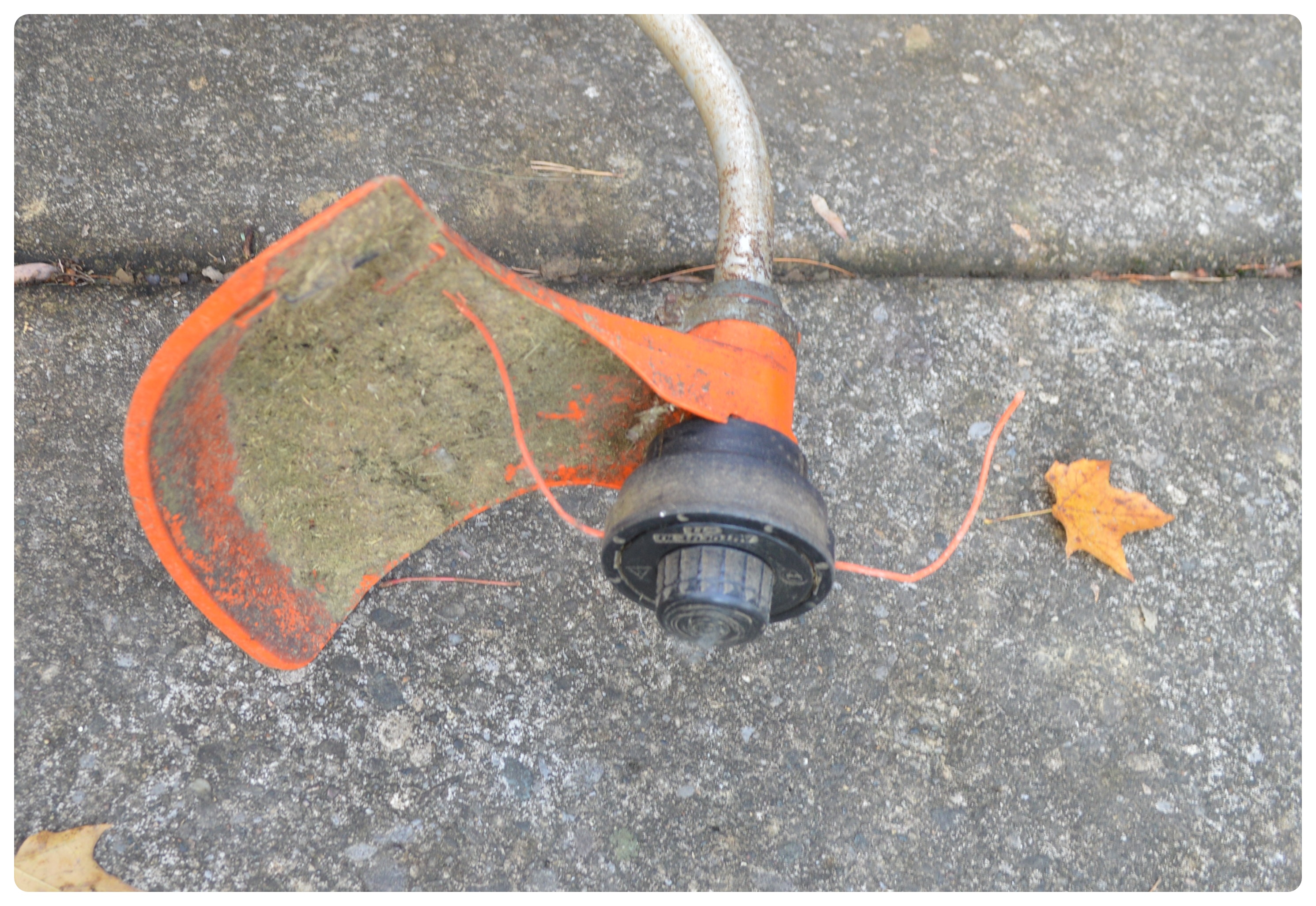 STIHL Gas Trimmer FS36 with Black+Decker Electric Edger 8224