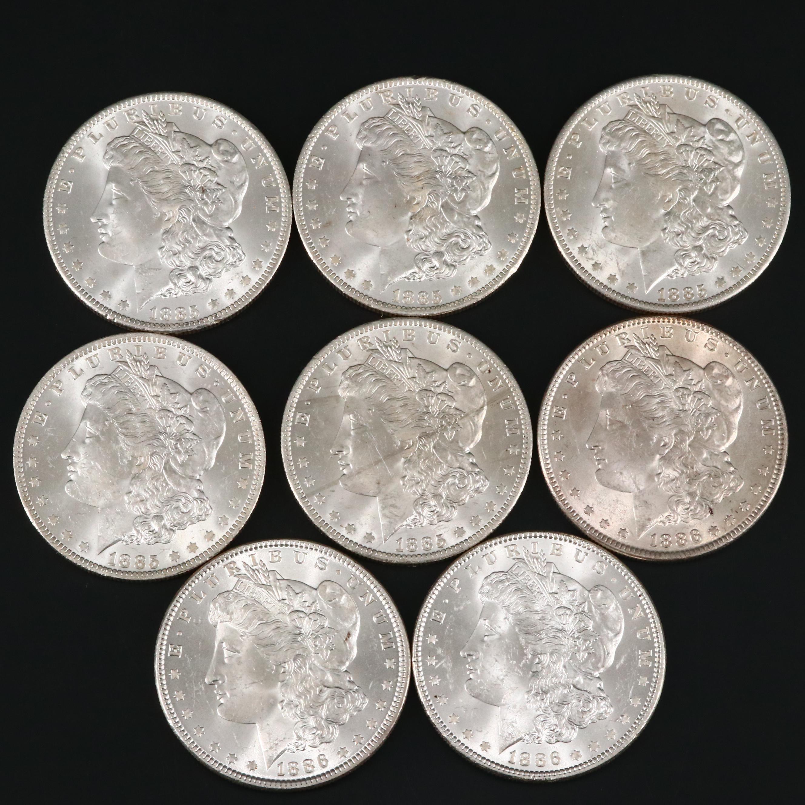 Eight Uncirculated Morgan Silver Dollars