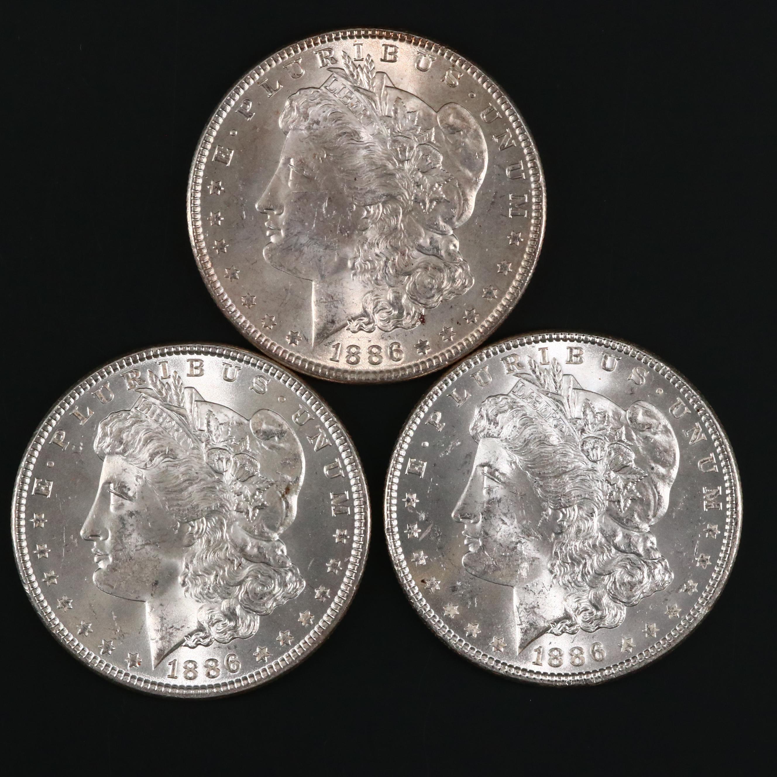 Eight Uncirculated Morgan Silver Dollars