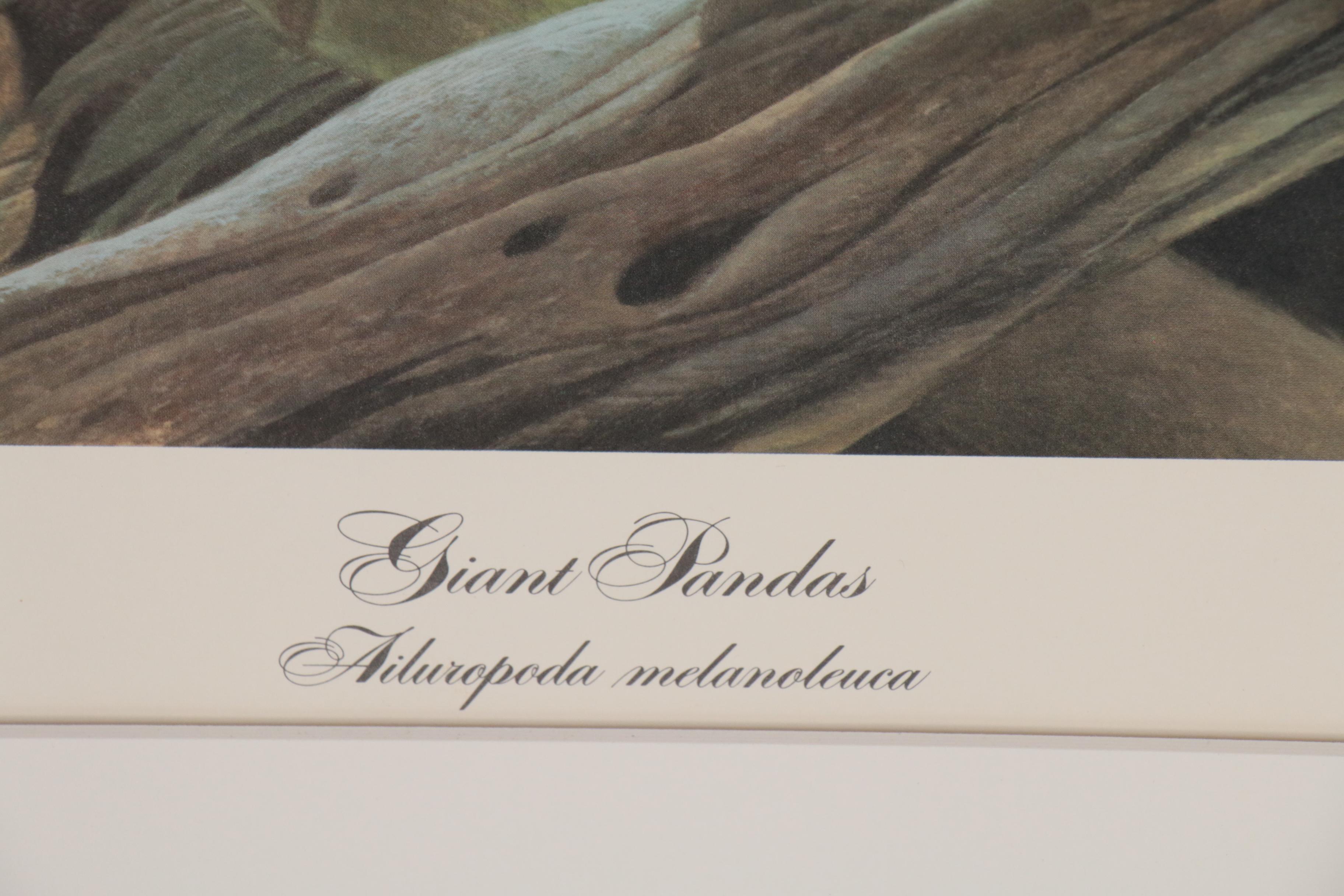 John Ruthven Offset Lithograph "Giant Pandas"