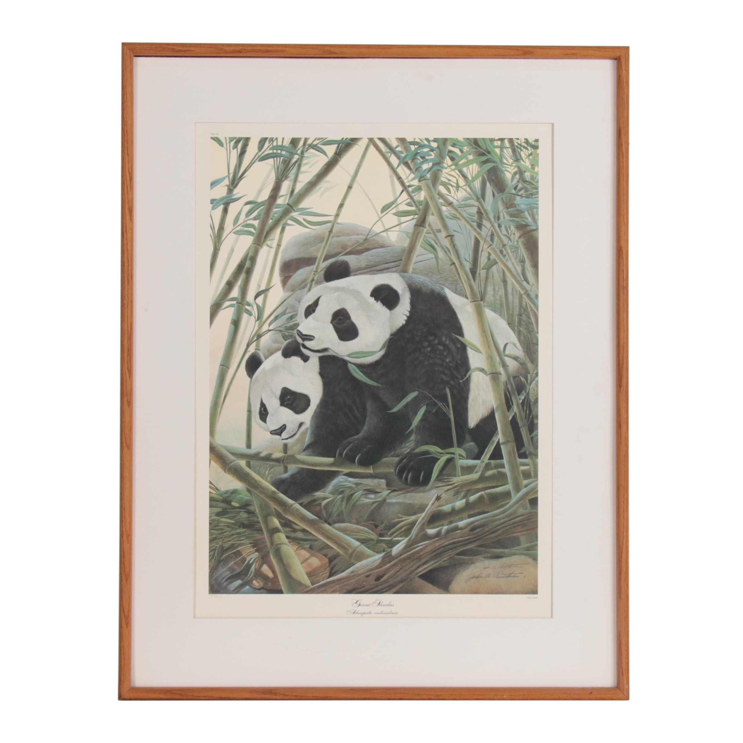 John Ruthven Offset Lithograph "Giant Pandas"