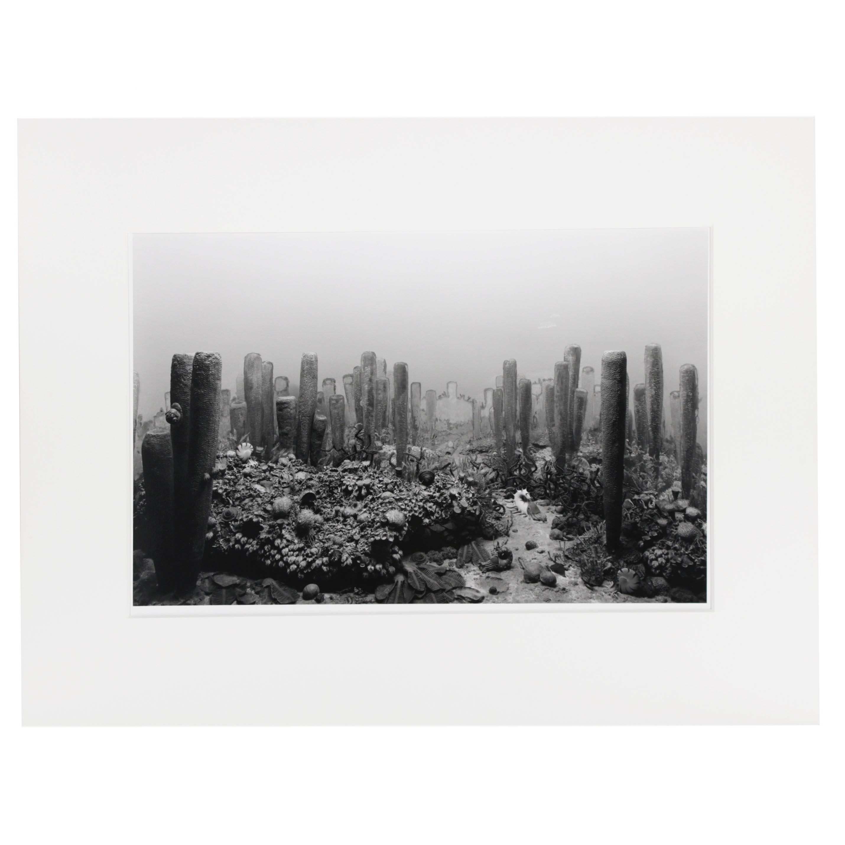 Hiroshi Sugimoto Silver Gelatin Photograph "Permian Period", 1992