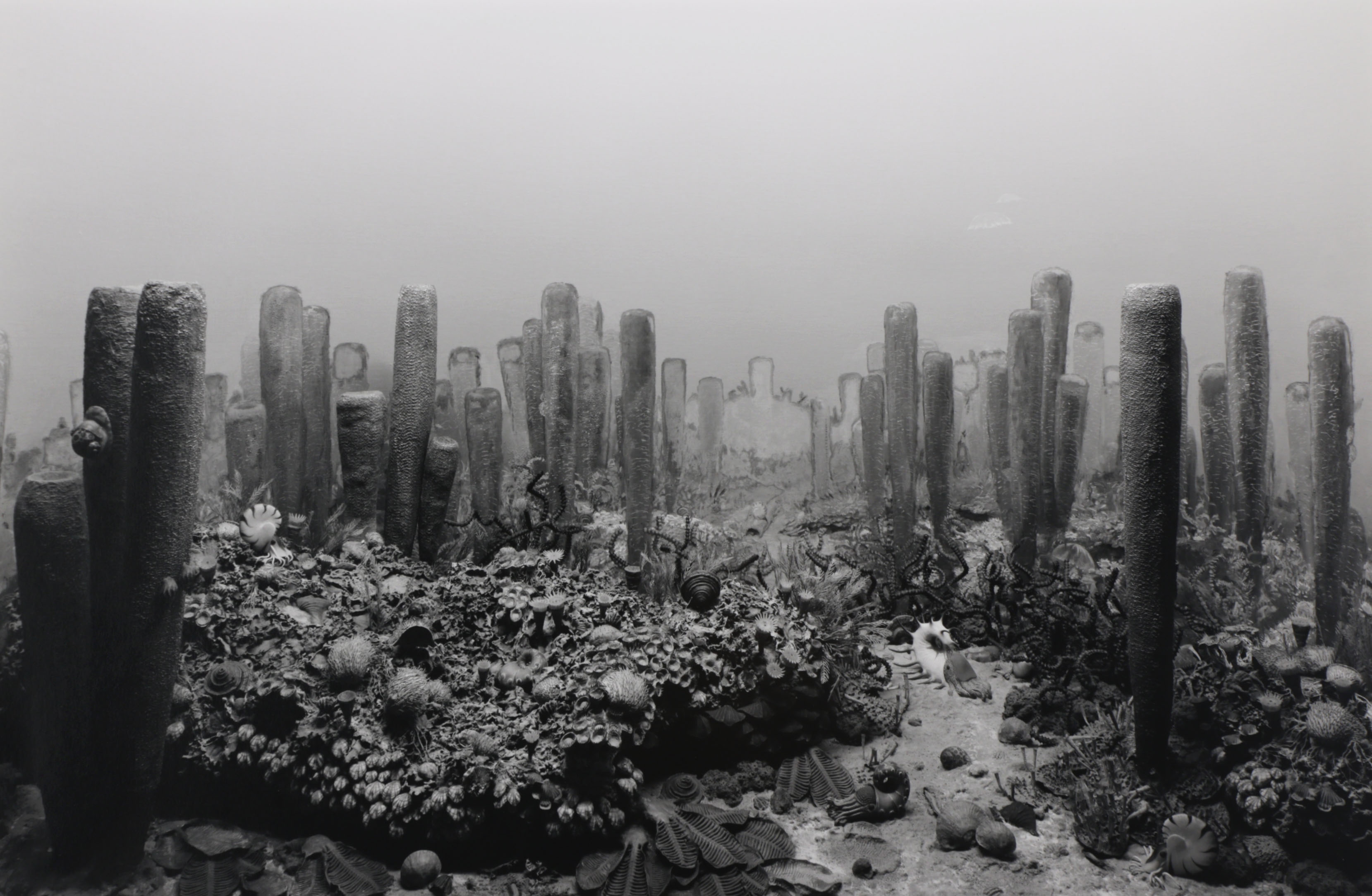 Hiroshi Sugimoto Silver Gelatin Photograph "Permian Period", 1992