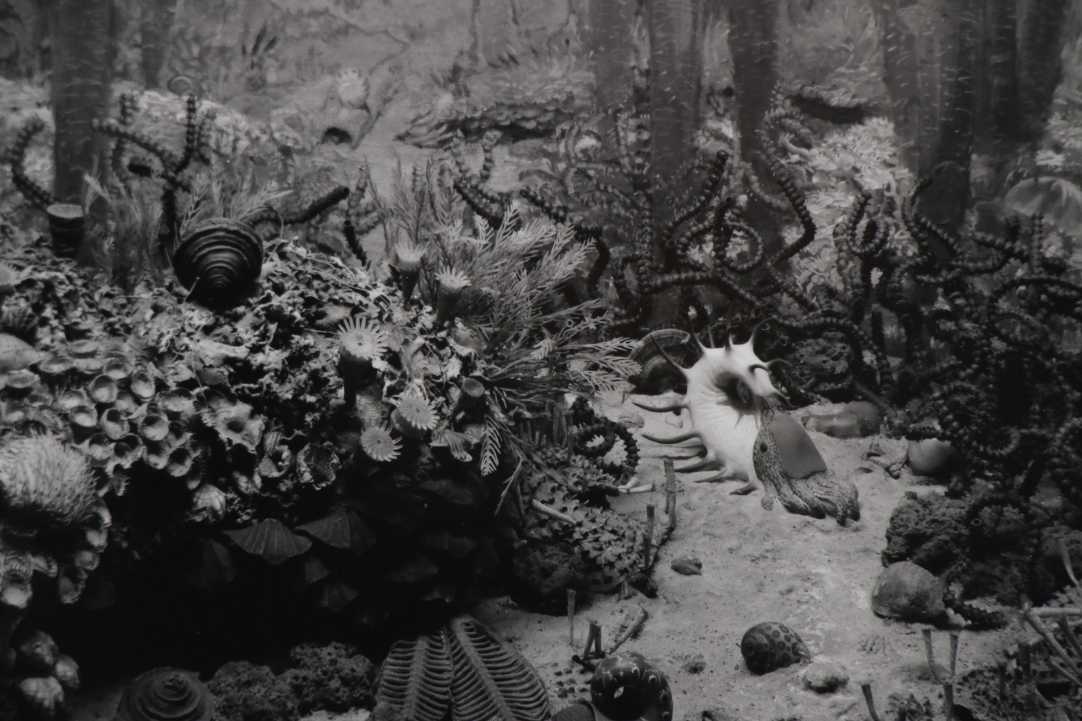 Hiroshi Sugimoto Silver Gelatin Photograph "Permian Period", 1992