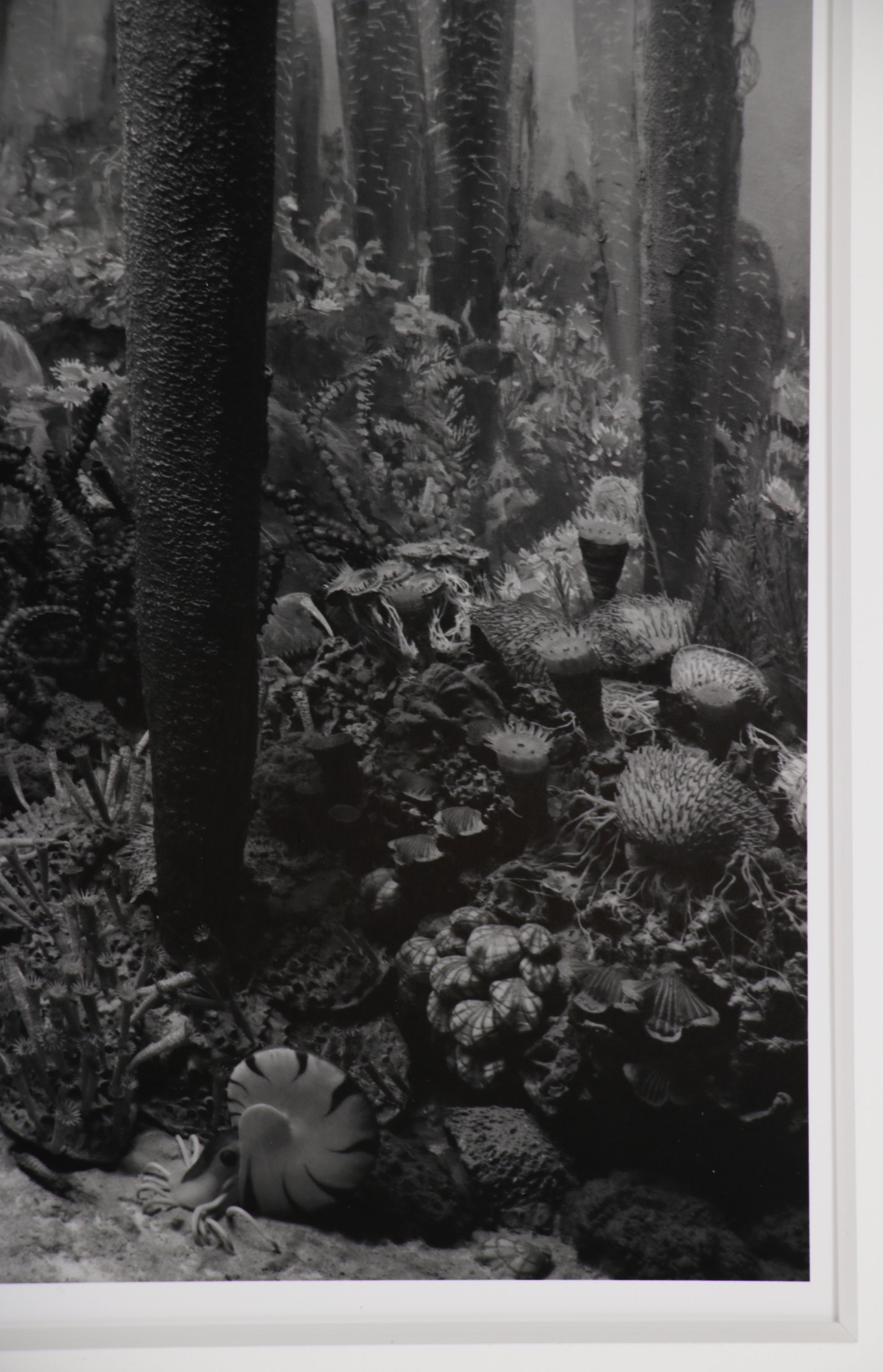 Hiroshi Sugimoto Silver Gelatin Photograph "Permian Period", 1992