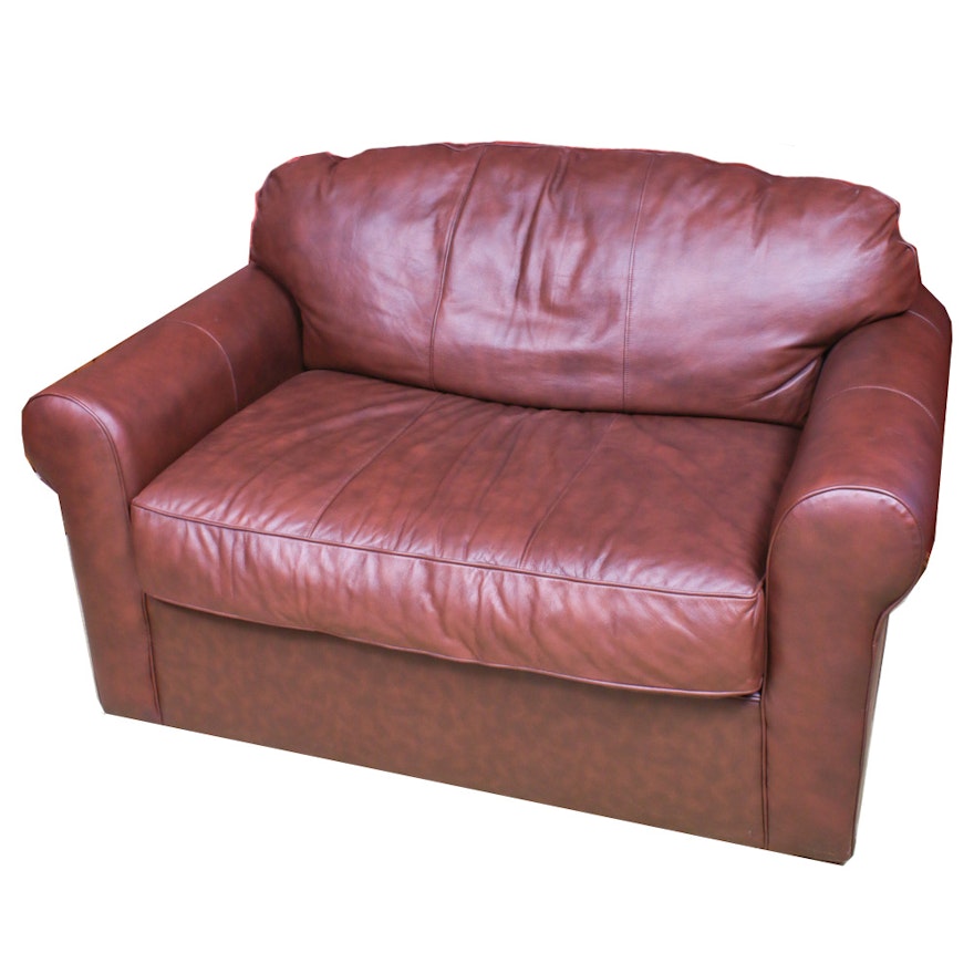 Brown Leather Sleeper Loveseat, Contemporary