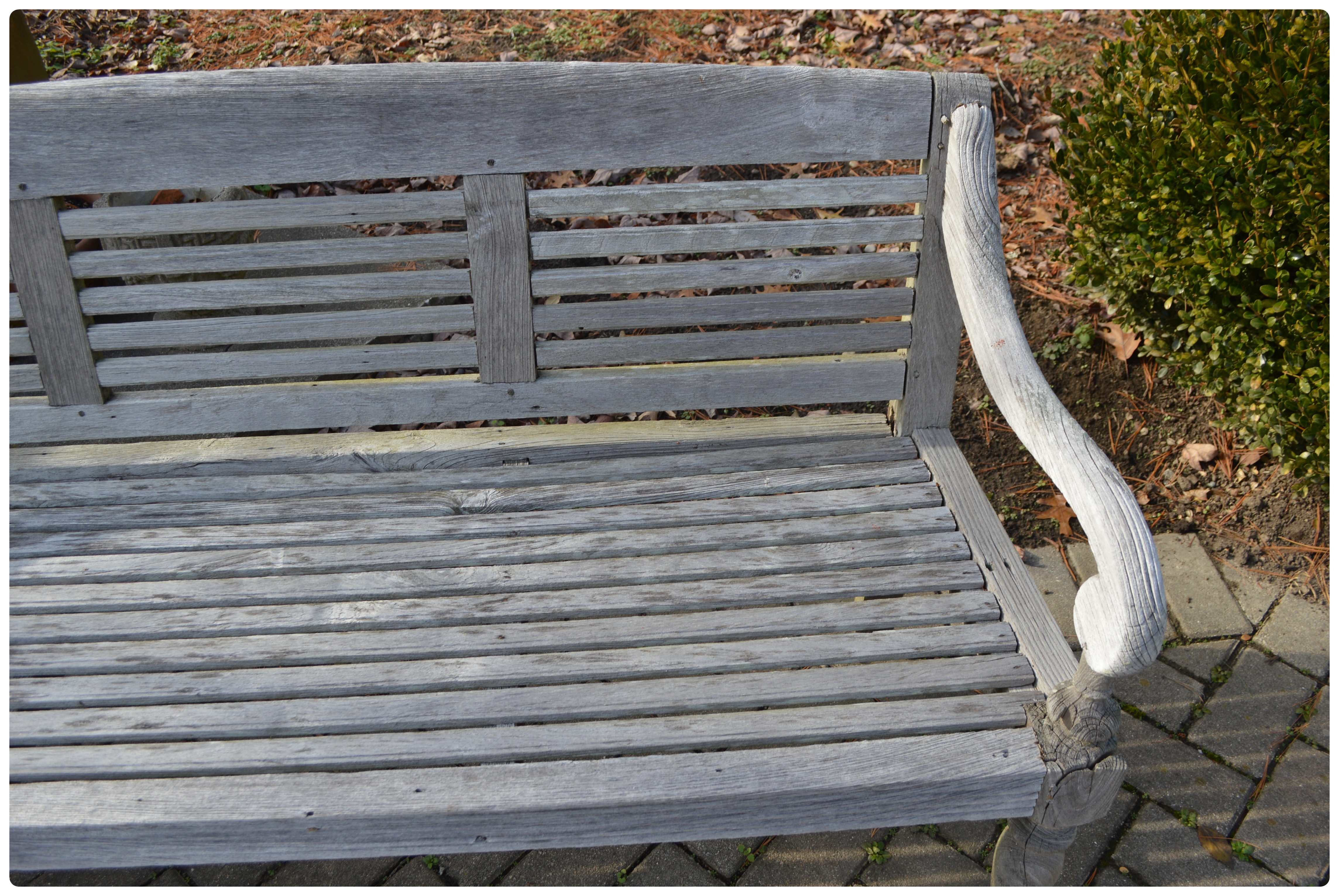 Contemporary Teak Patio Bench