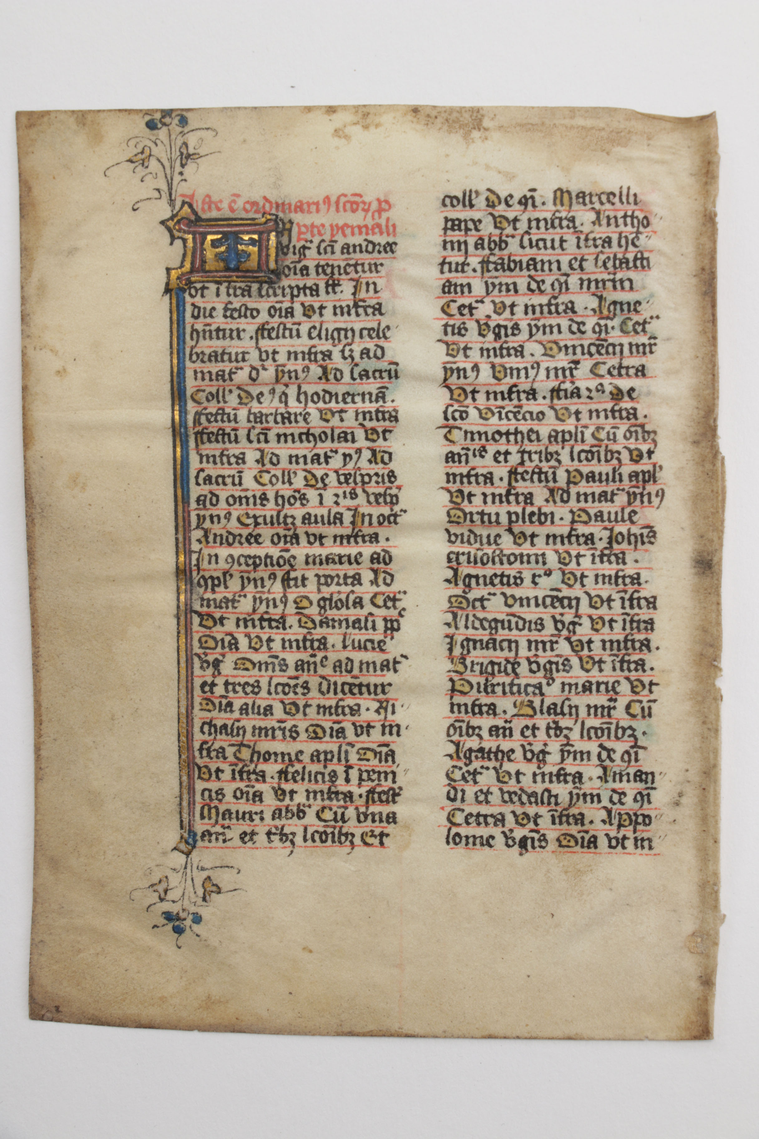 Mid 13th - Mid 14th Century Illuminated Leaves in Latin