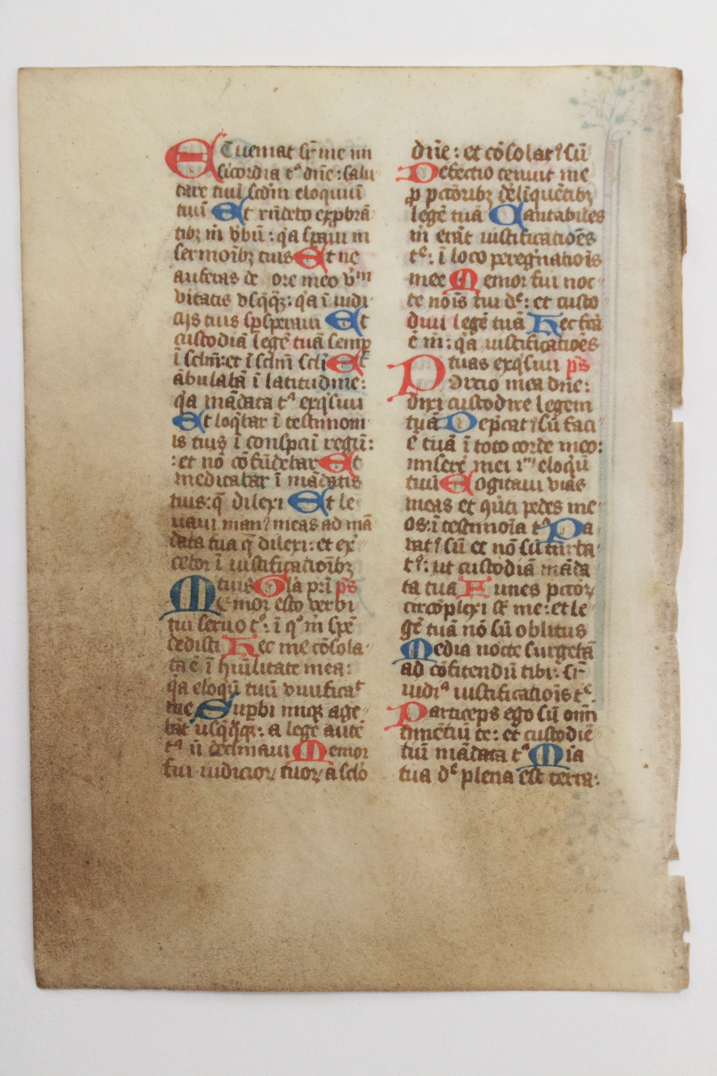 Mid 13th - Mid 14th Century Illuminated Leaves in Latin