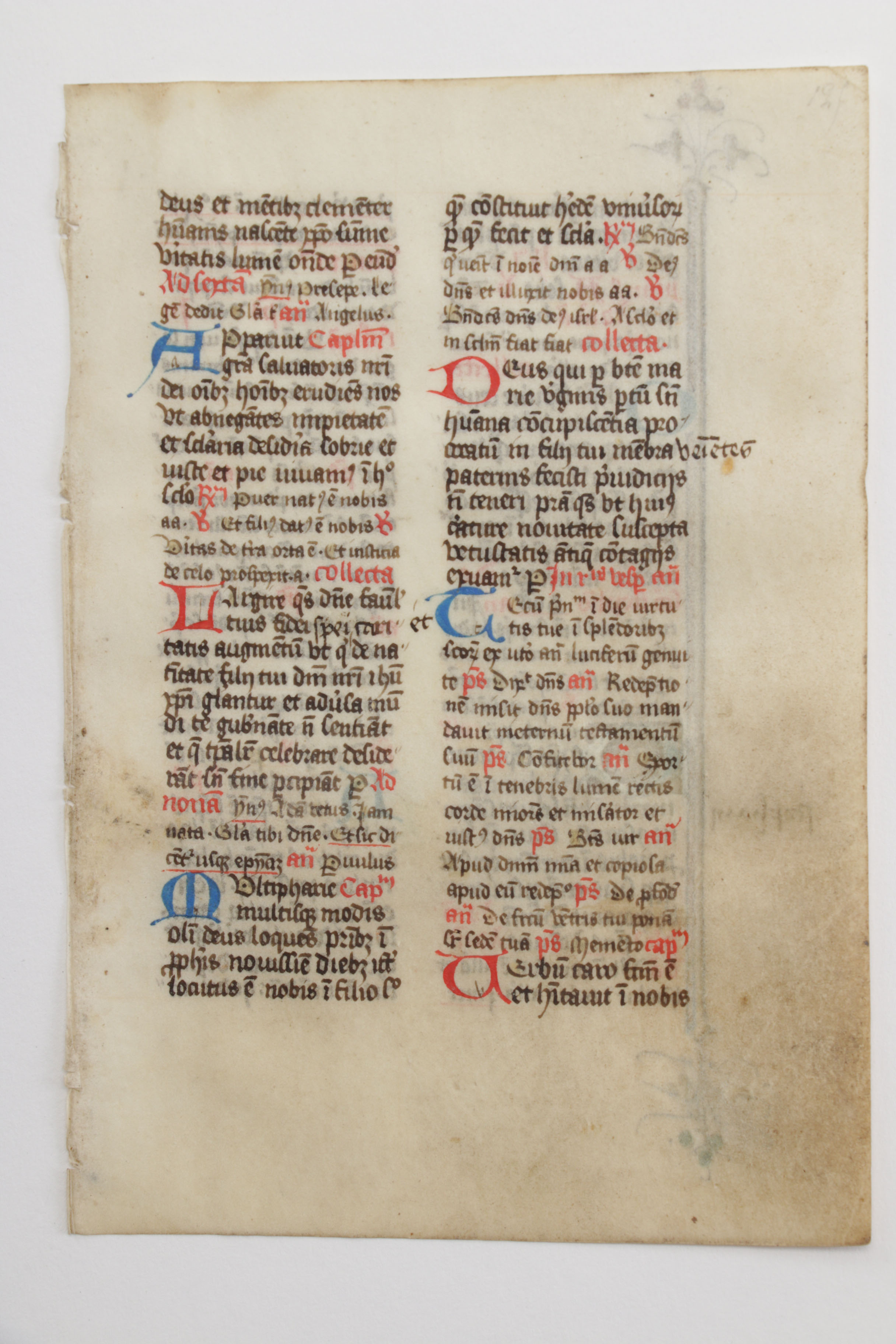 Mid 13th - Mid 14th Century Illuminated Leaves in Latin