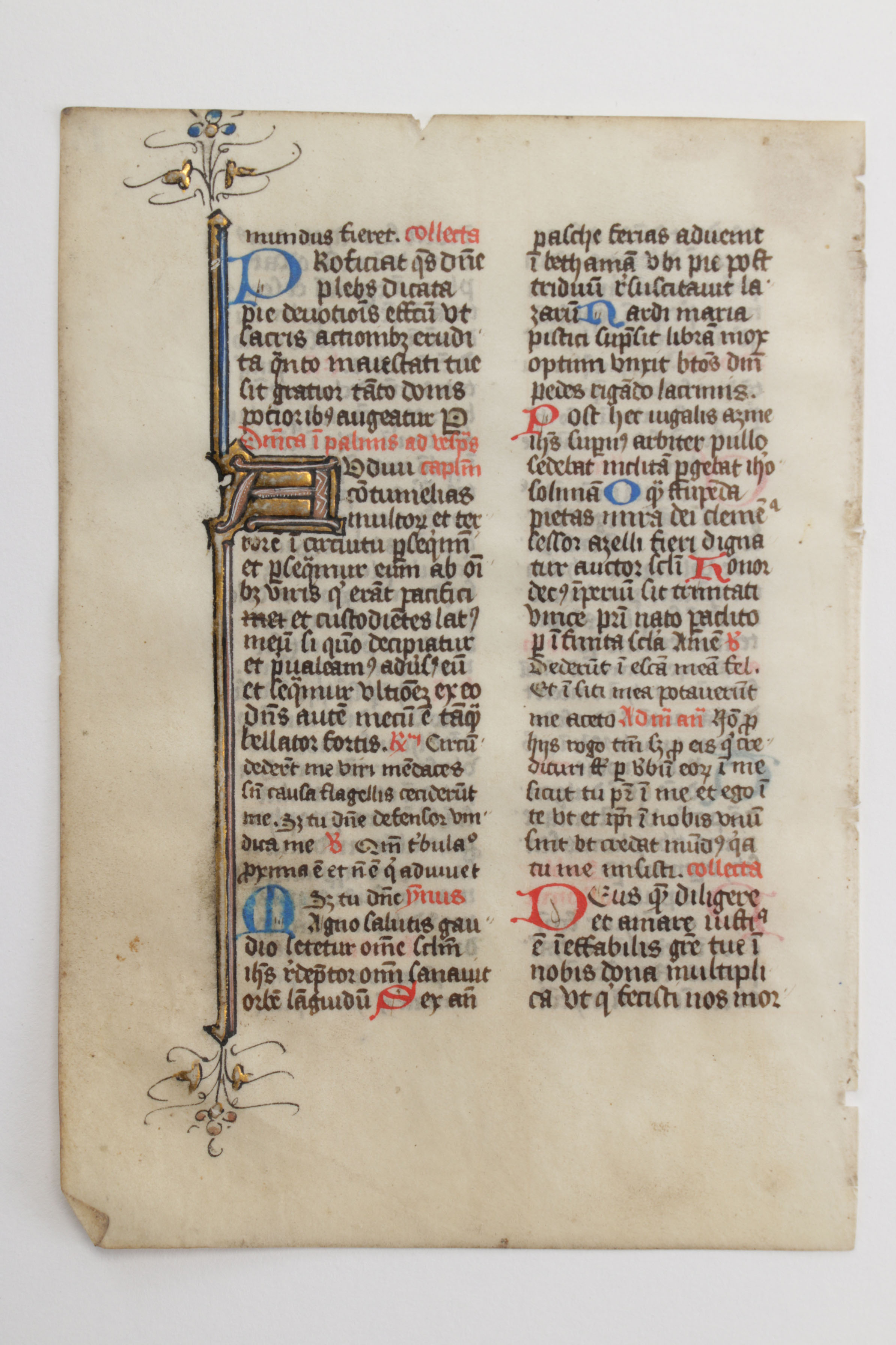 Mid 13th - Mid 14th Century Illuminated Leaves in Latin