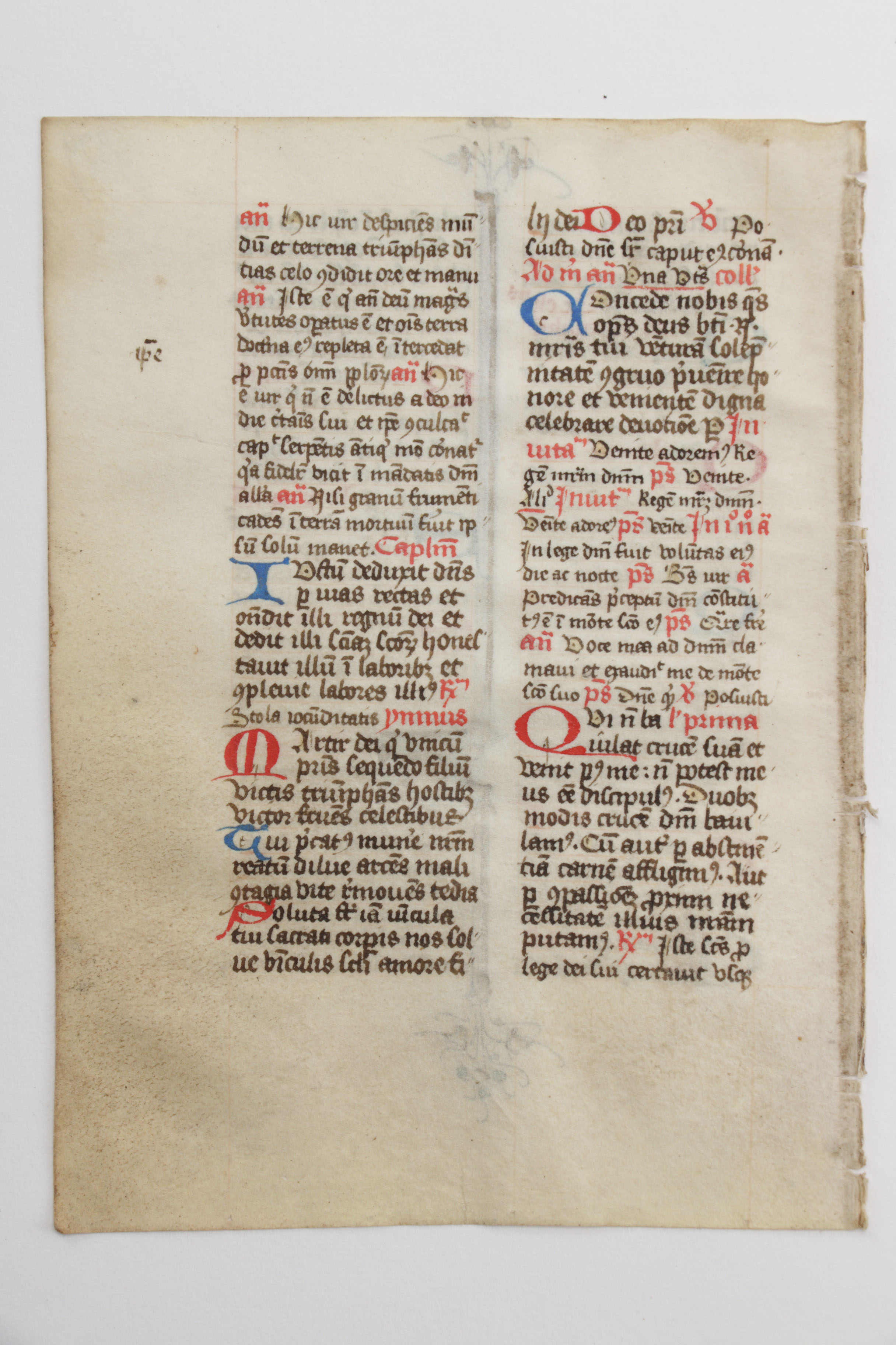 Mid 13th - Mid 14th Century Illuminated Leaves in Latin