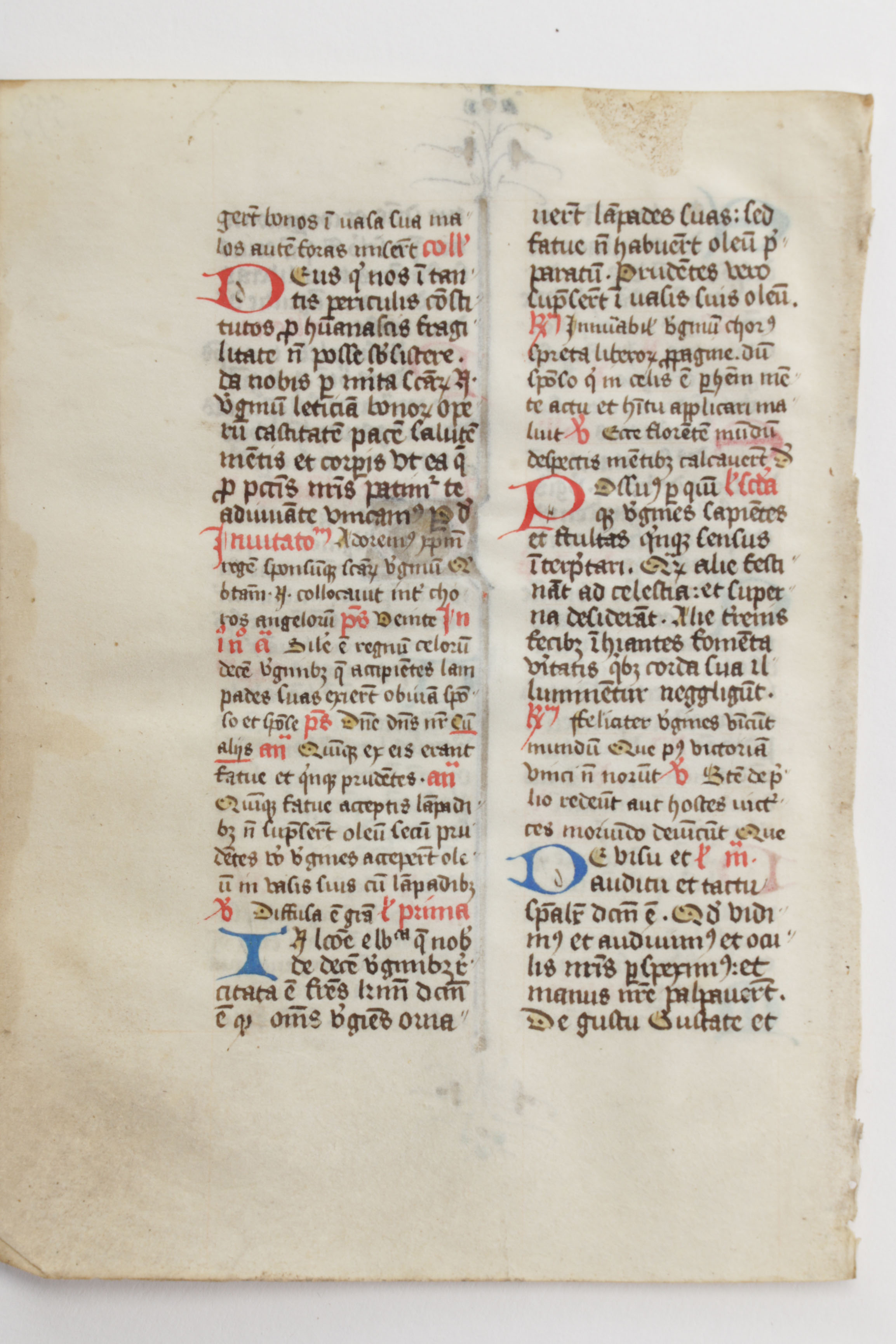 Mid 13th - Mid 14th Century Illuminated Leaves in Latin