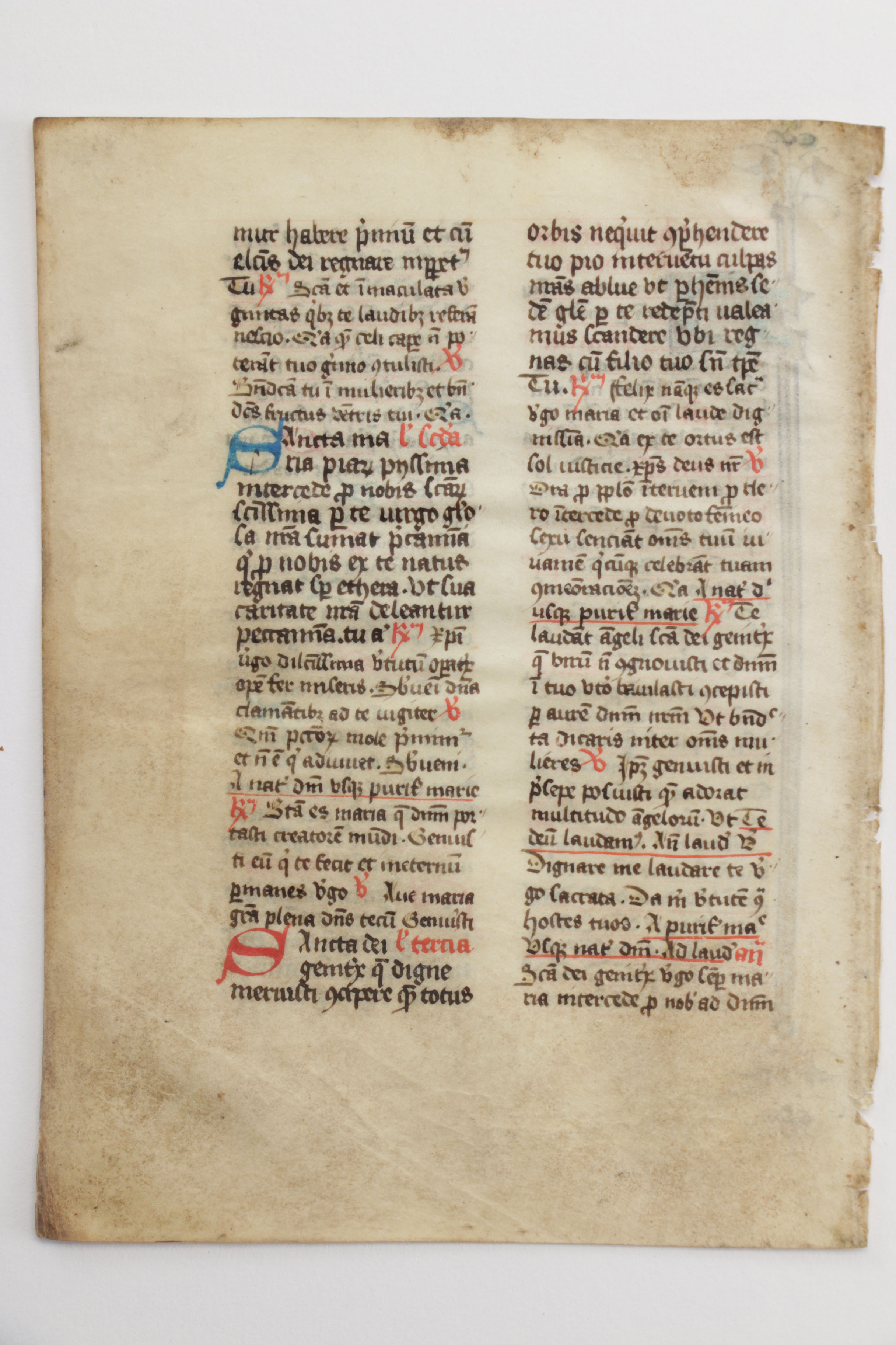 Mid 13th - Mid 14th Century Illuminated Leaves in Latin