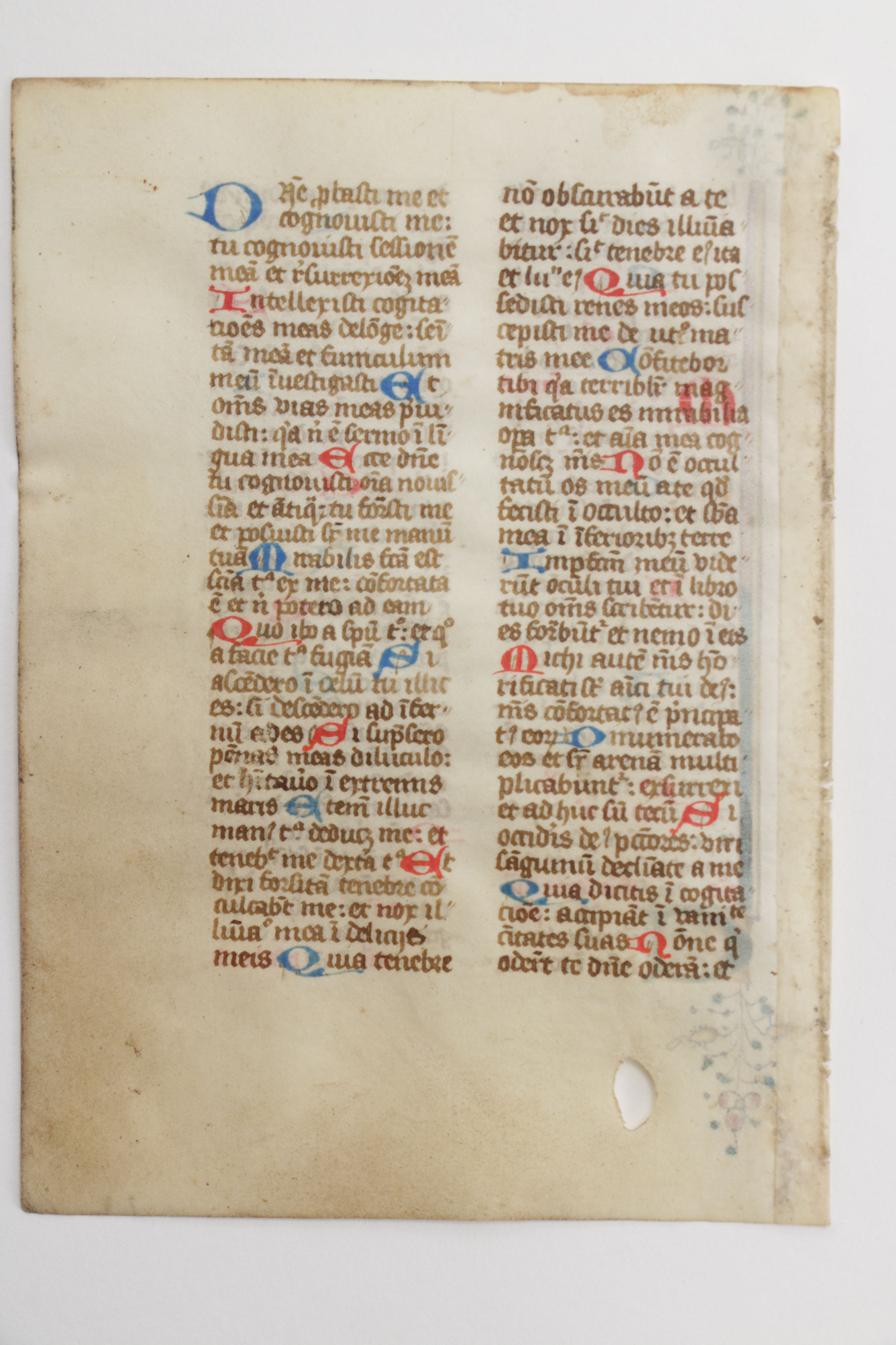 Mid 13th - Mid 14th Century Illuminated Leaves in Latin