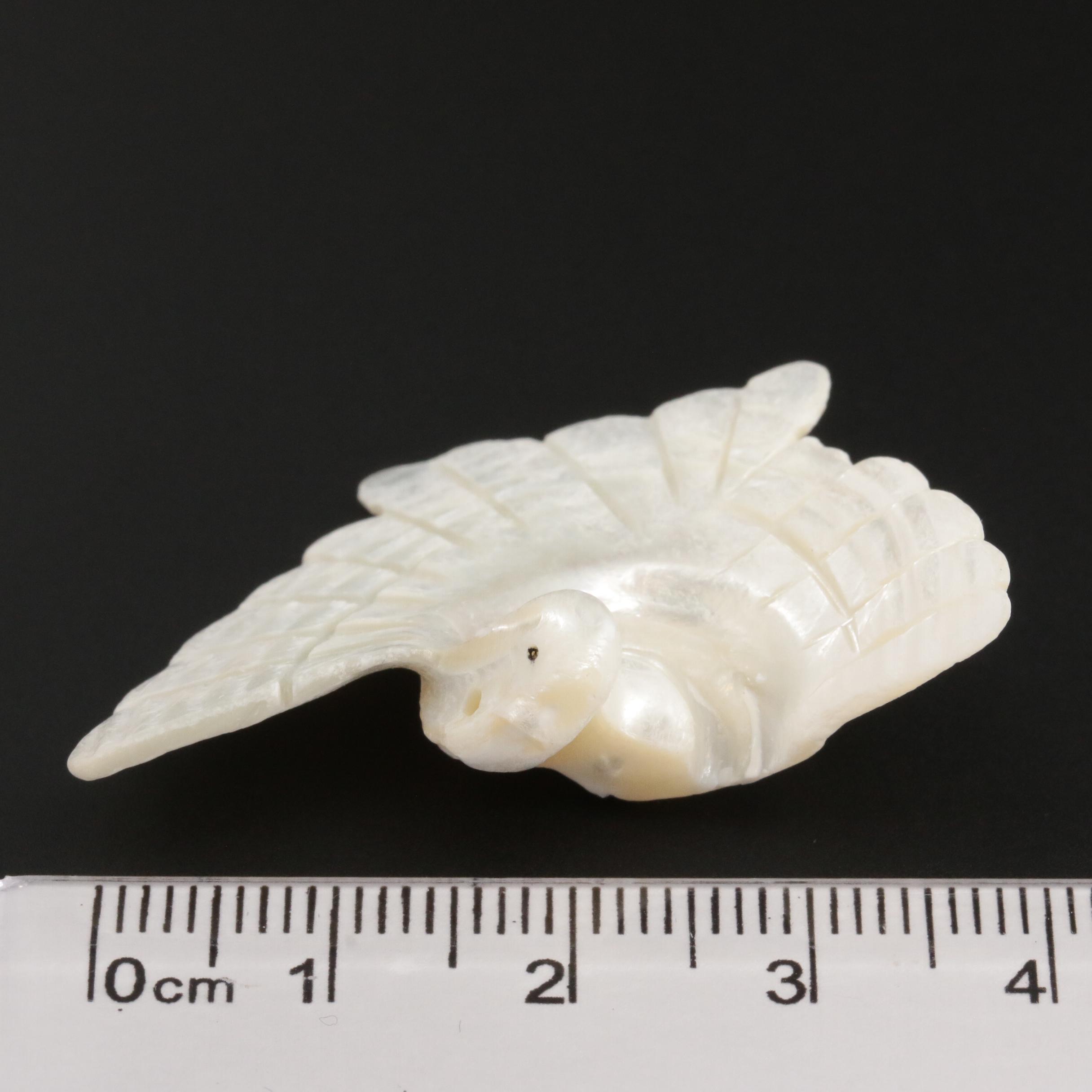 Loose 204.73 CTW Carved Shell Beads with Bird Motif