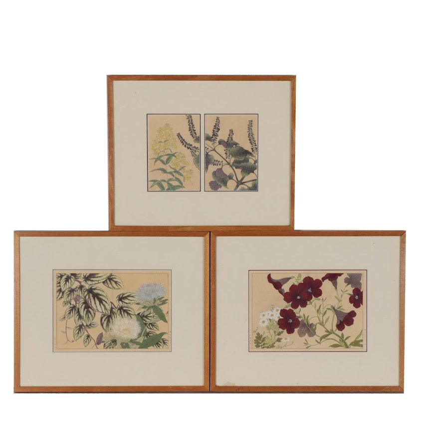Tanigami Konan and after Sakai Hōitsu Floral and Botanical Woodblocks