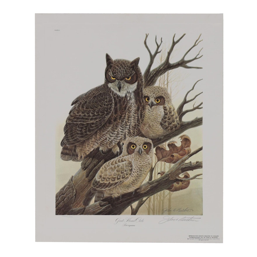 John Ruthven Offset Lithograph "Great Horned Owls", 1979