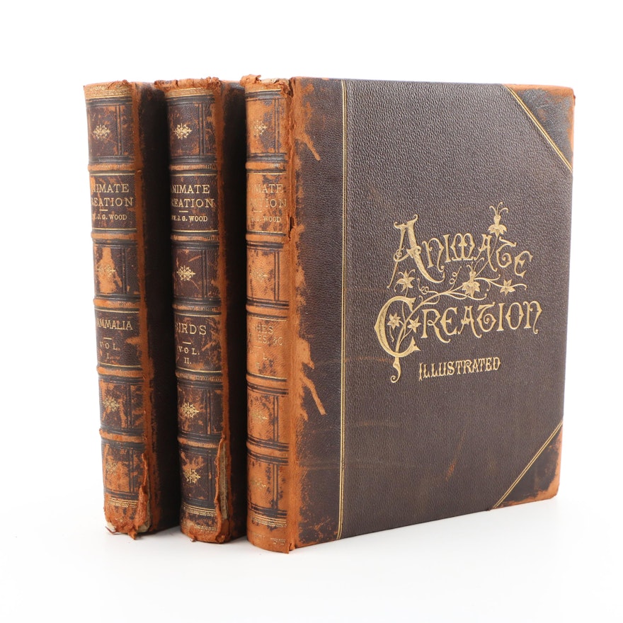 1885 Popular Edition "Animate Creation" by Rev. J. G. Wood, Illustrated