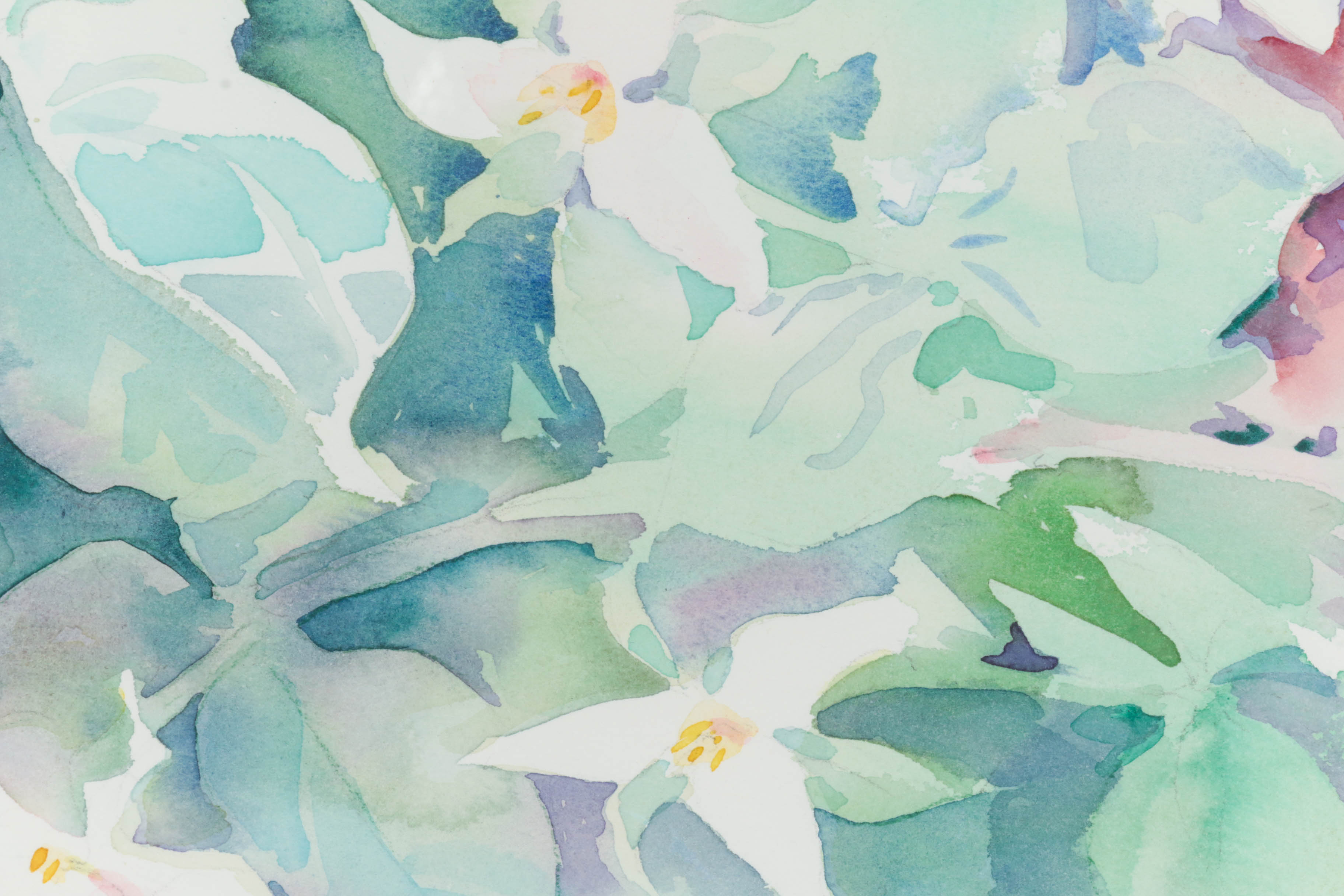 Joyce Howe Watercolor Painting of White Flowers