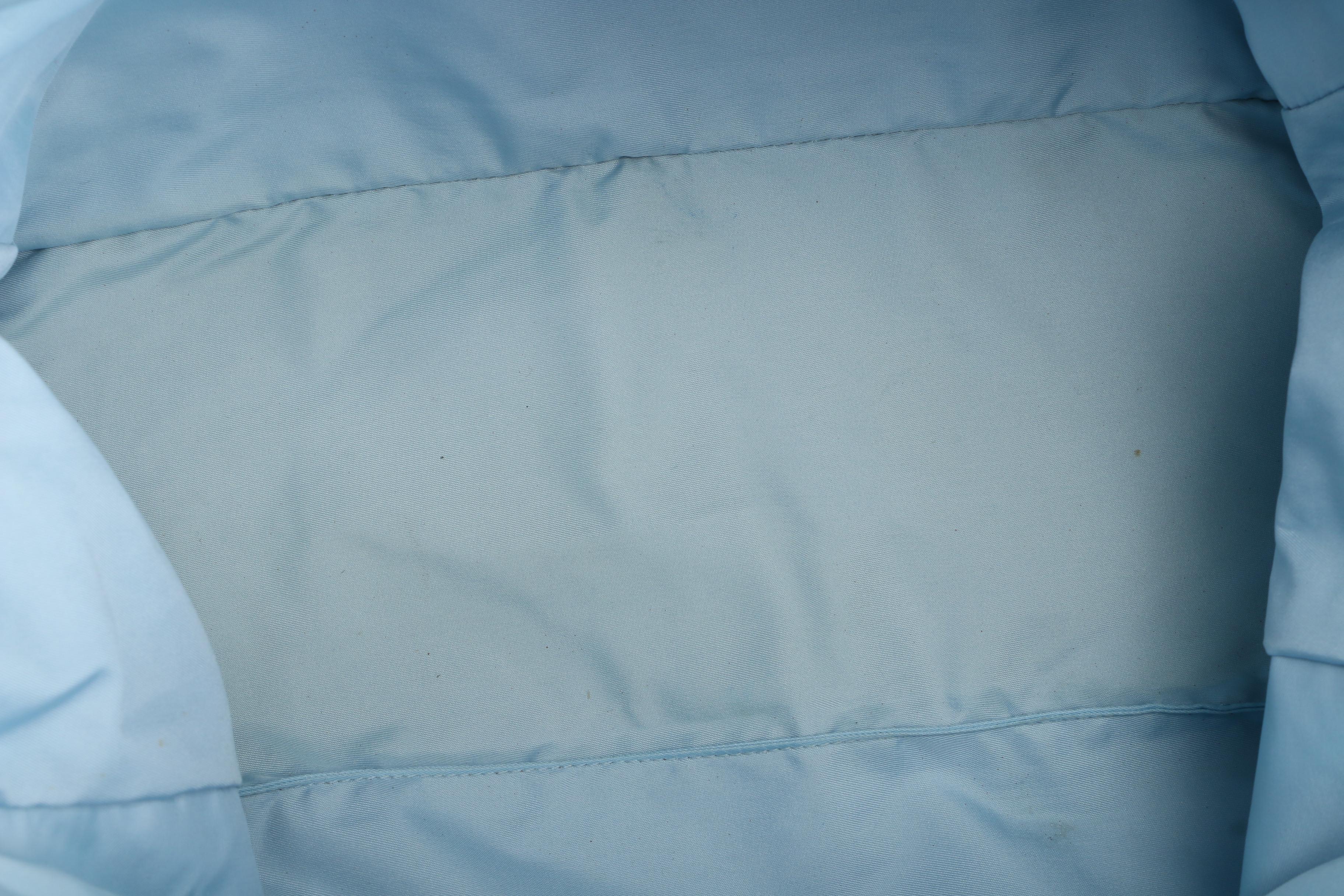 Chanel Travel Line Tote Bag in Light Blue CC Logo Nylon and Leather