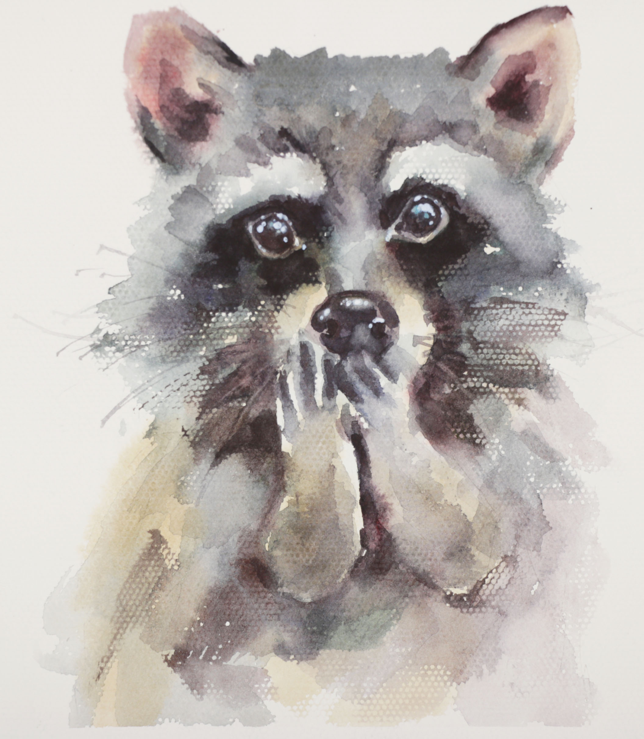 Watercolor Painting of a Racoon