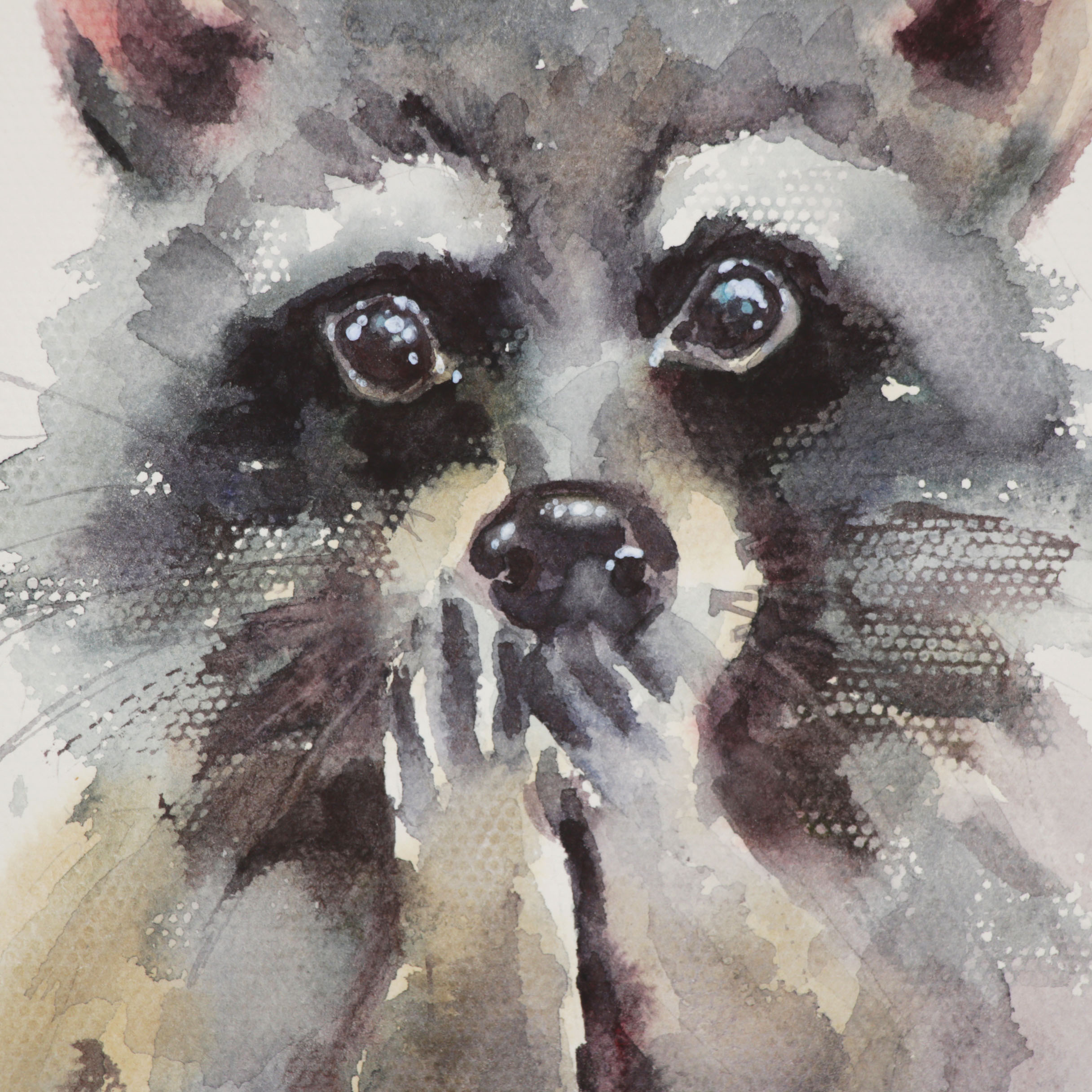 Watercolor Painting of a Racoon