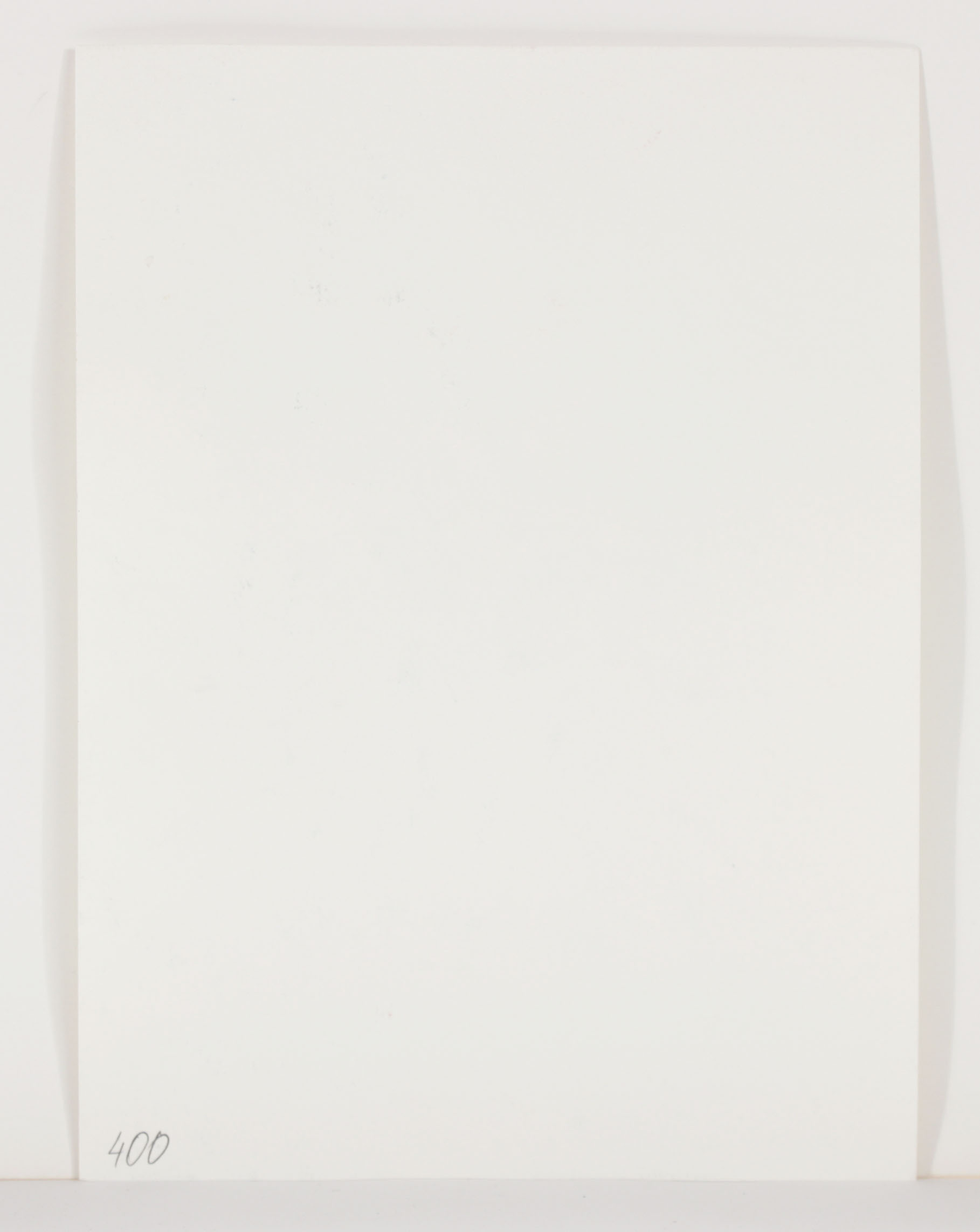 Watercolor Painting of a Racoon