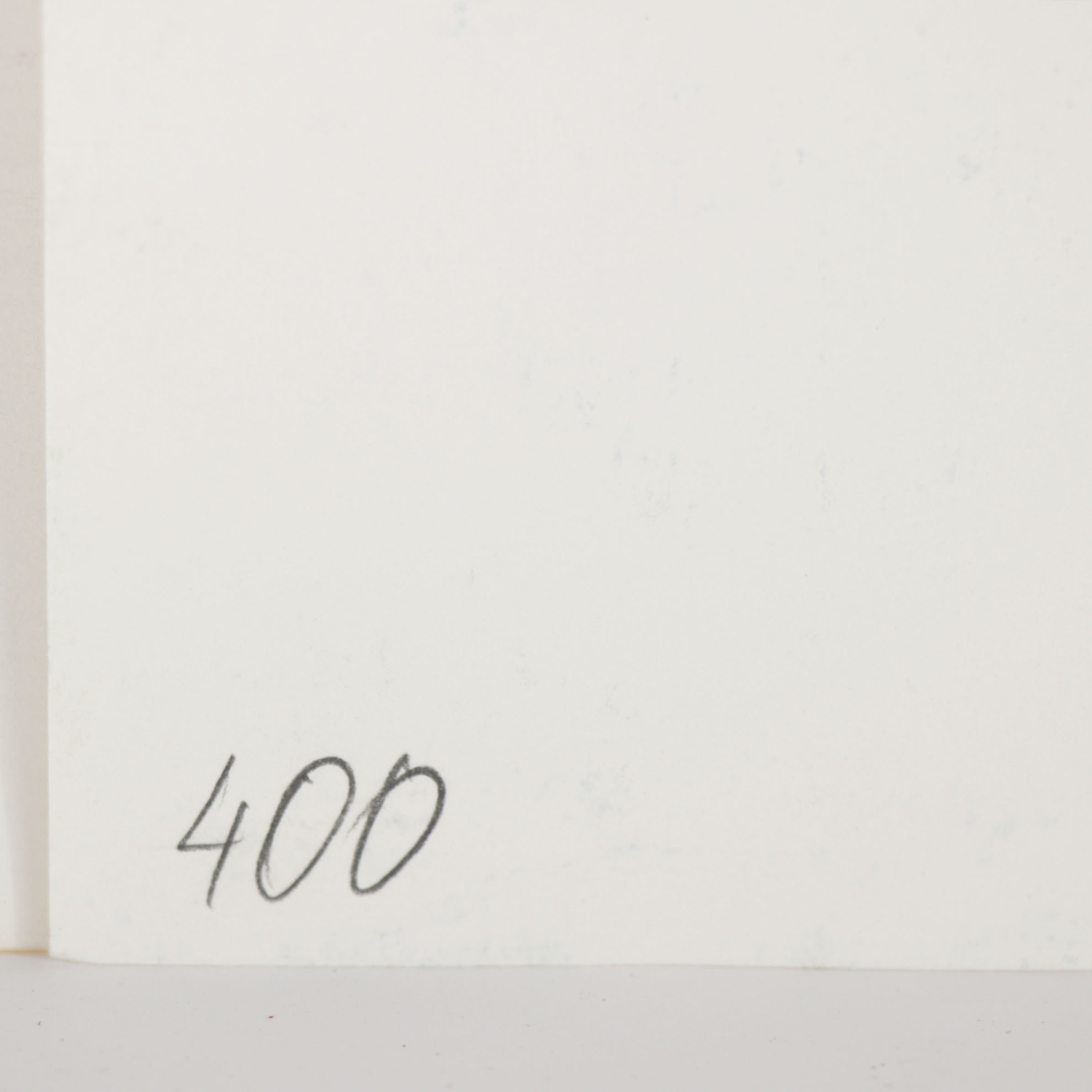 Watercolor Painting of a Racoon