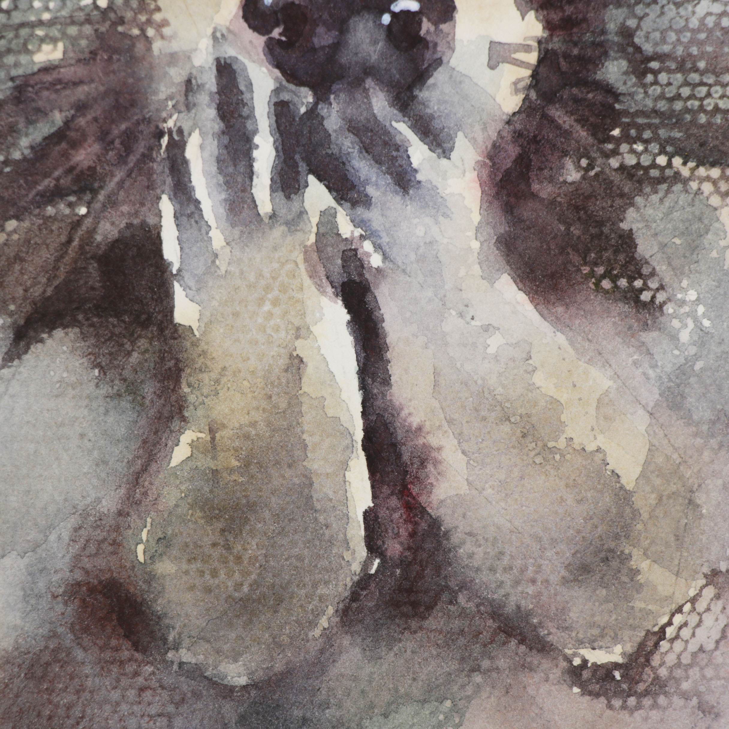 Watercolor Painting of a Racoon