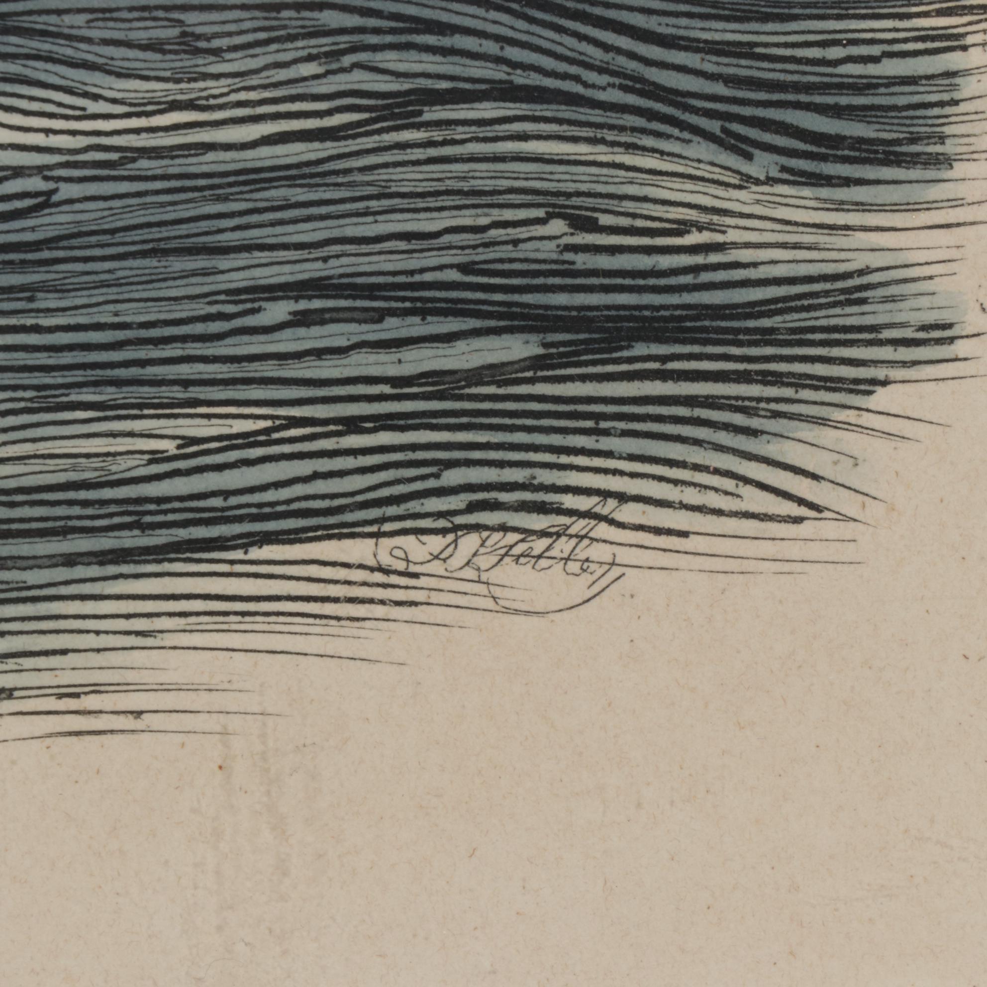 Prideaux John Selby Hand-Colored Engraving "Spectacle Scoter"