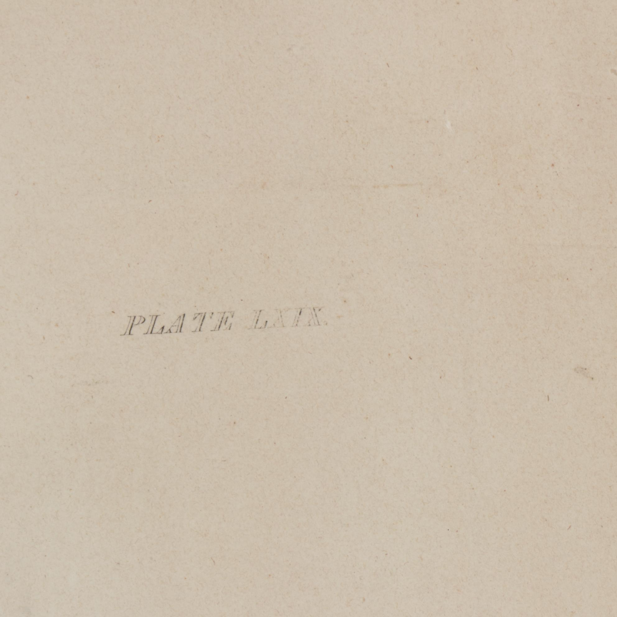 Prideaux John Selby Hand-Colored Engraving "Spectacle Scoter"