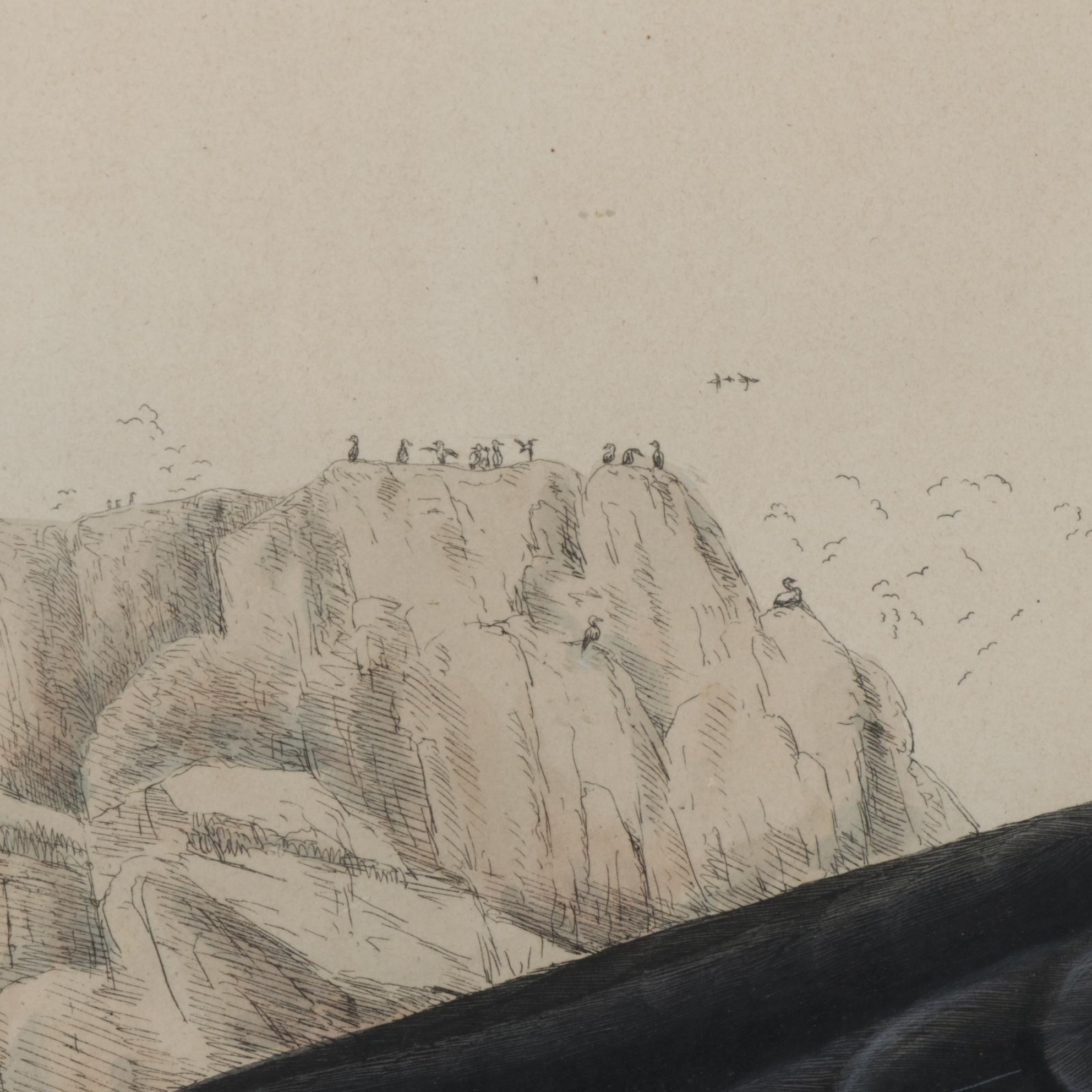 Prideaux John Selby Hand-Colored Engraving "Spectacle Scoter"