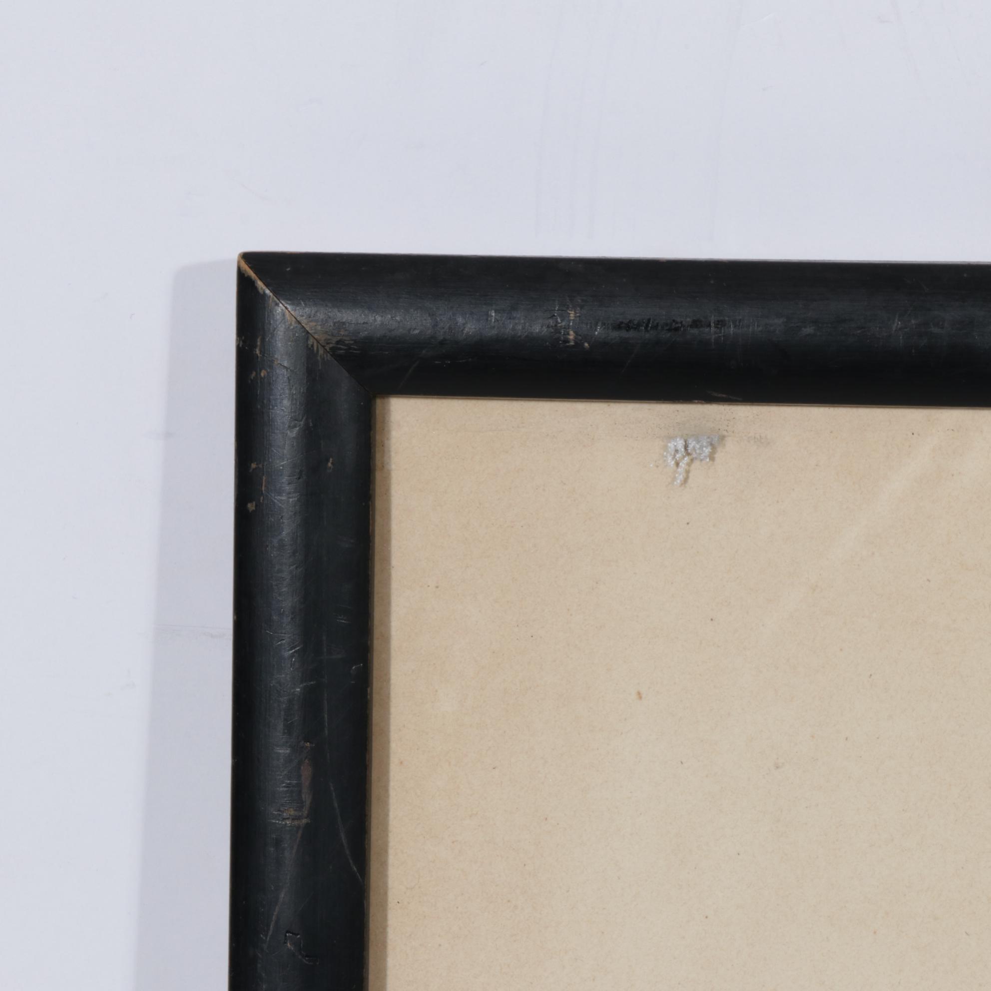 Prideaux John Selby Hand-Colored Engraving "Spectacle Scoter"