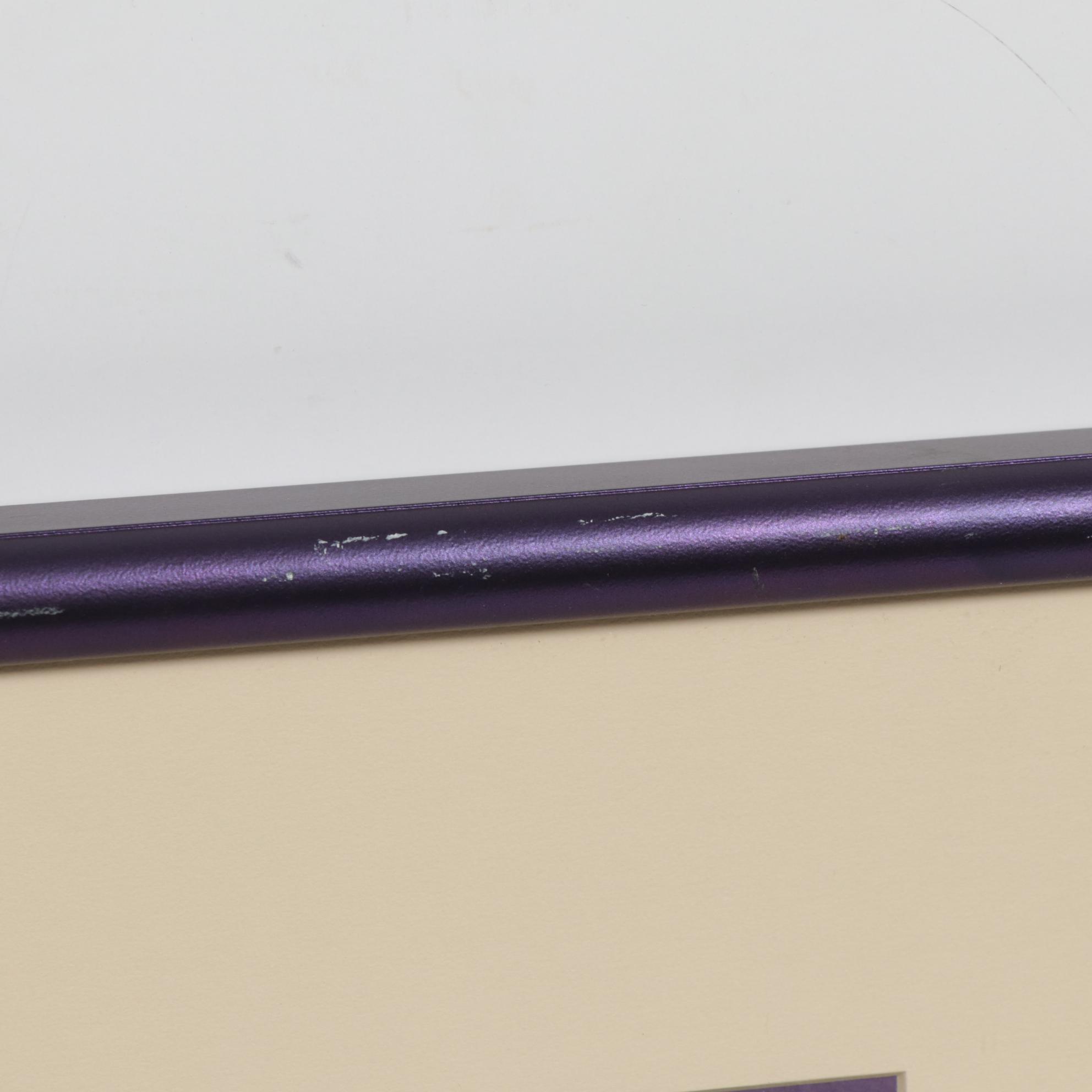 Itzchak Tarkay Serigraphs