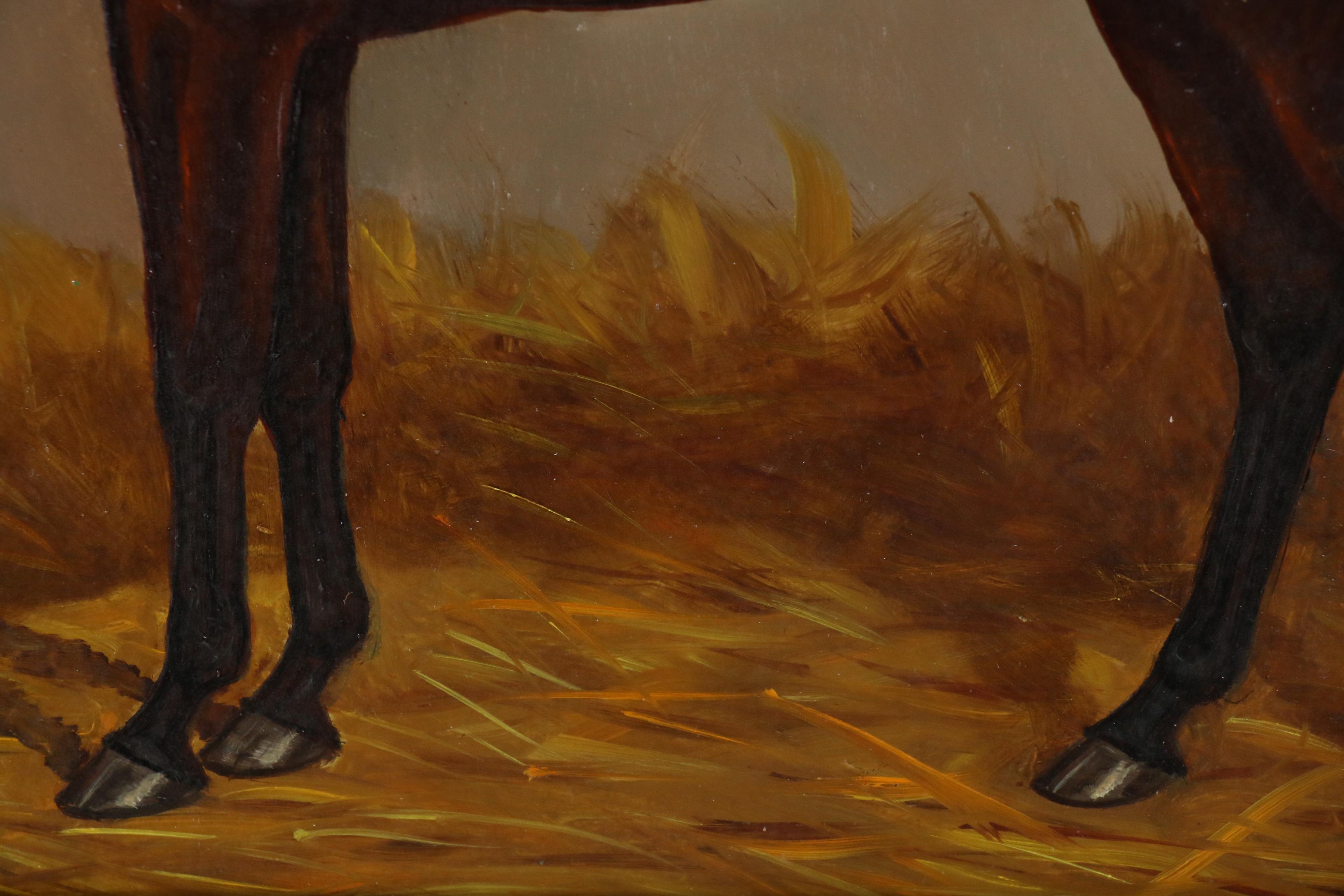 Vilmos Paksi Equine Portrait Oil Painting