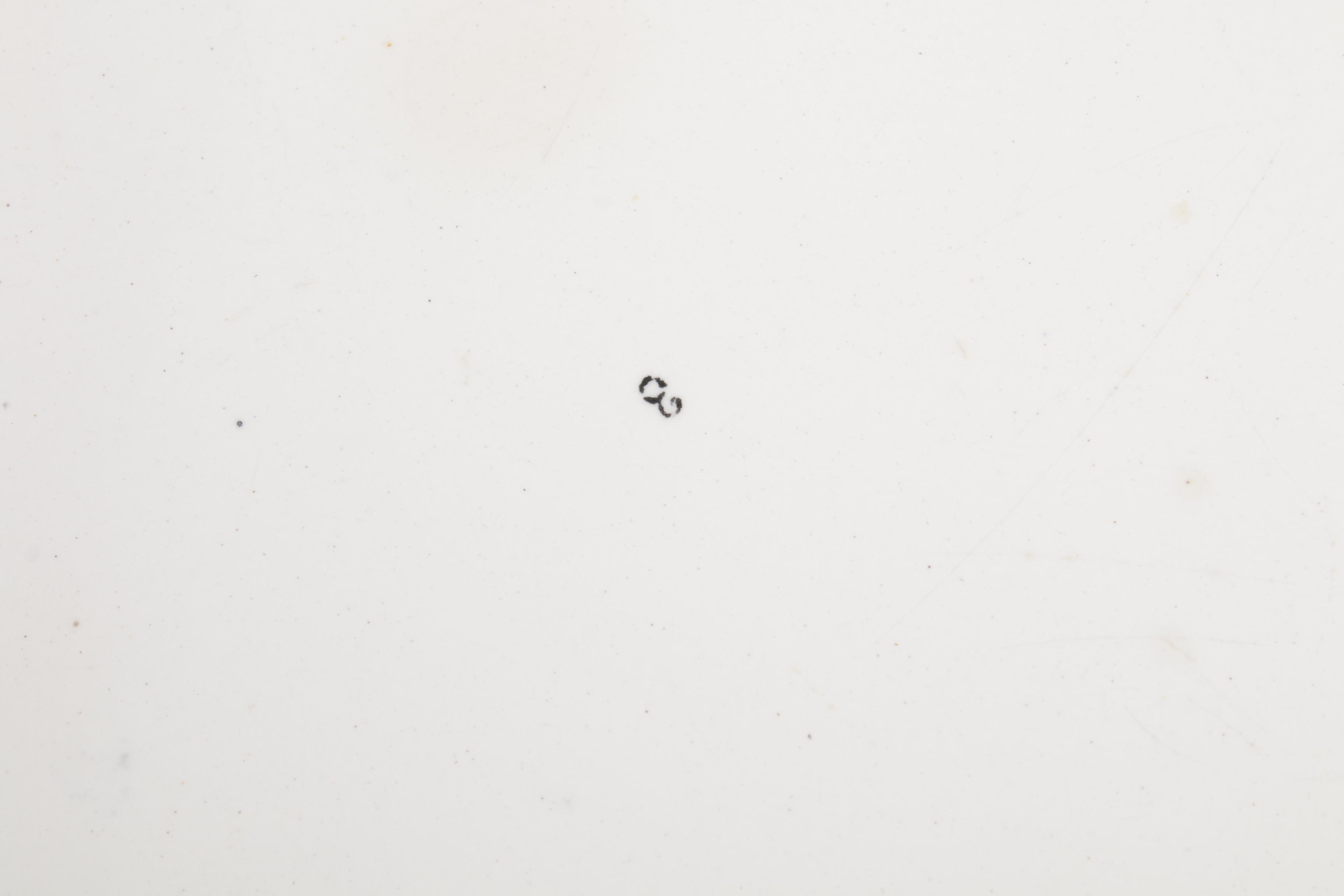 Regence U & Cie Sarreguemines Black and White Transferware