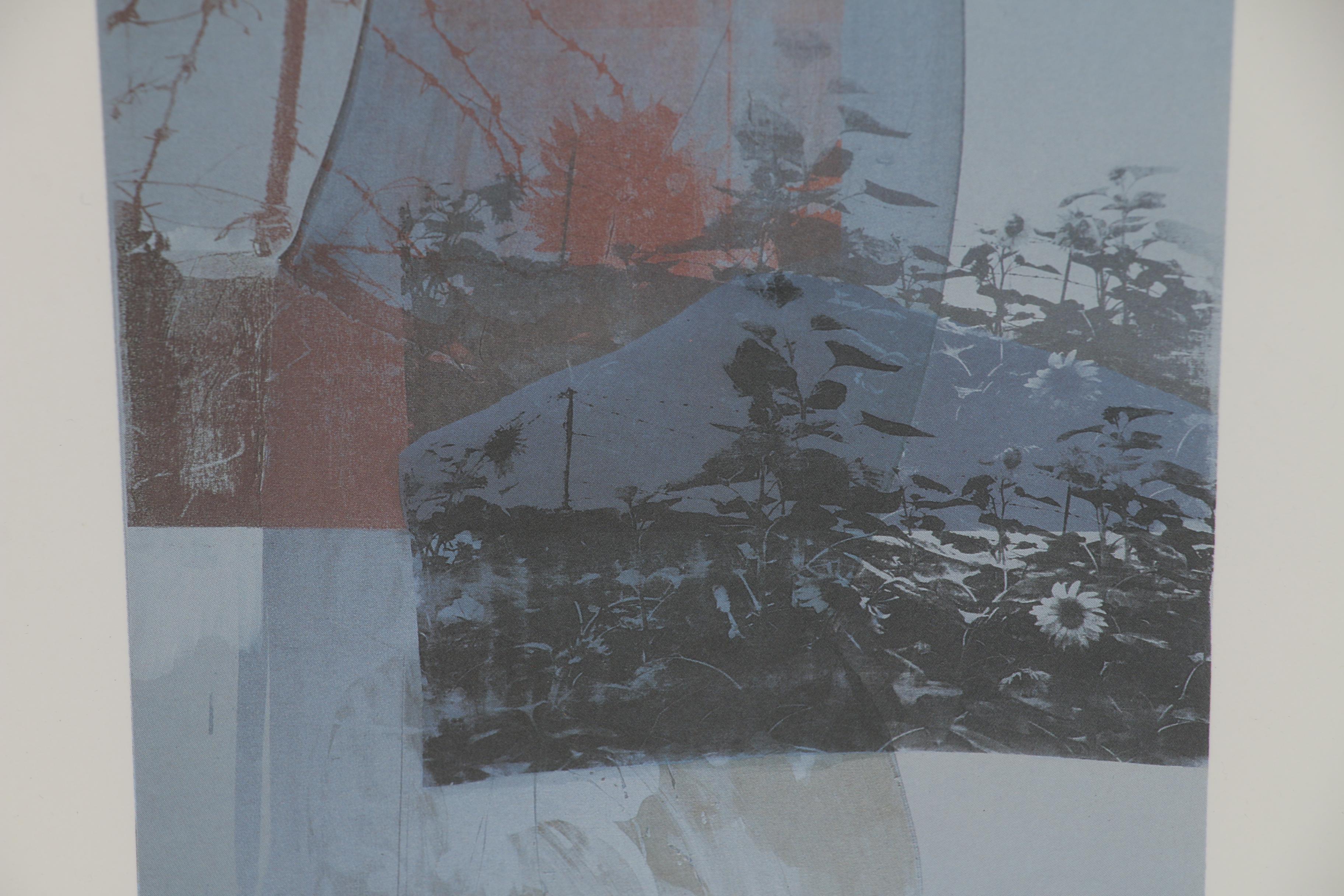 Robert Rauschenberg Offset Lithograph "Tanya's Veil (Whale)"