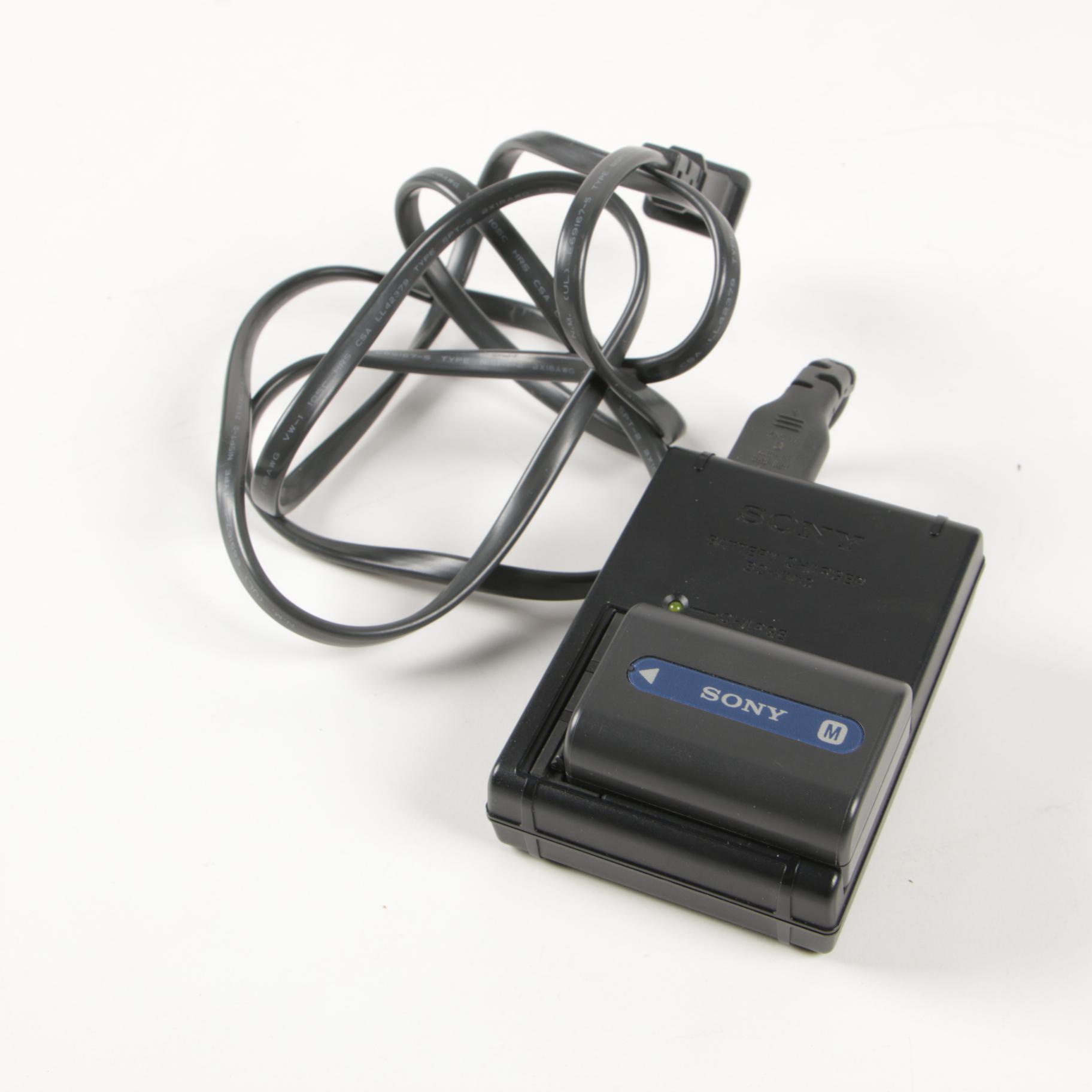 Sony DSLR-A100 Digital Camera with Macro Lens and Charger