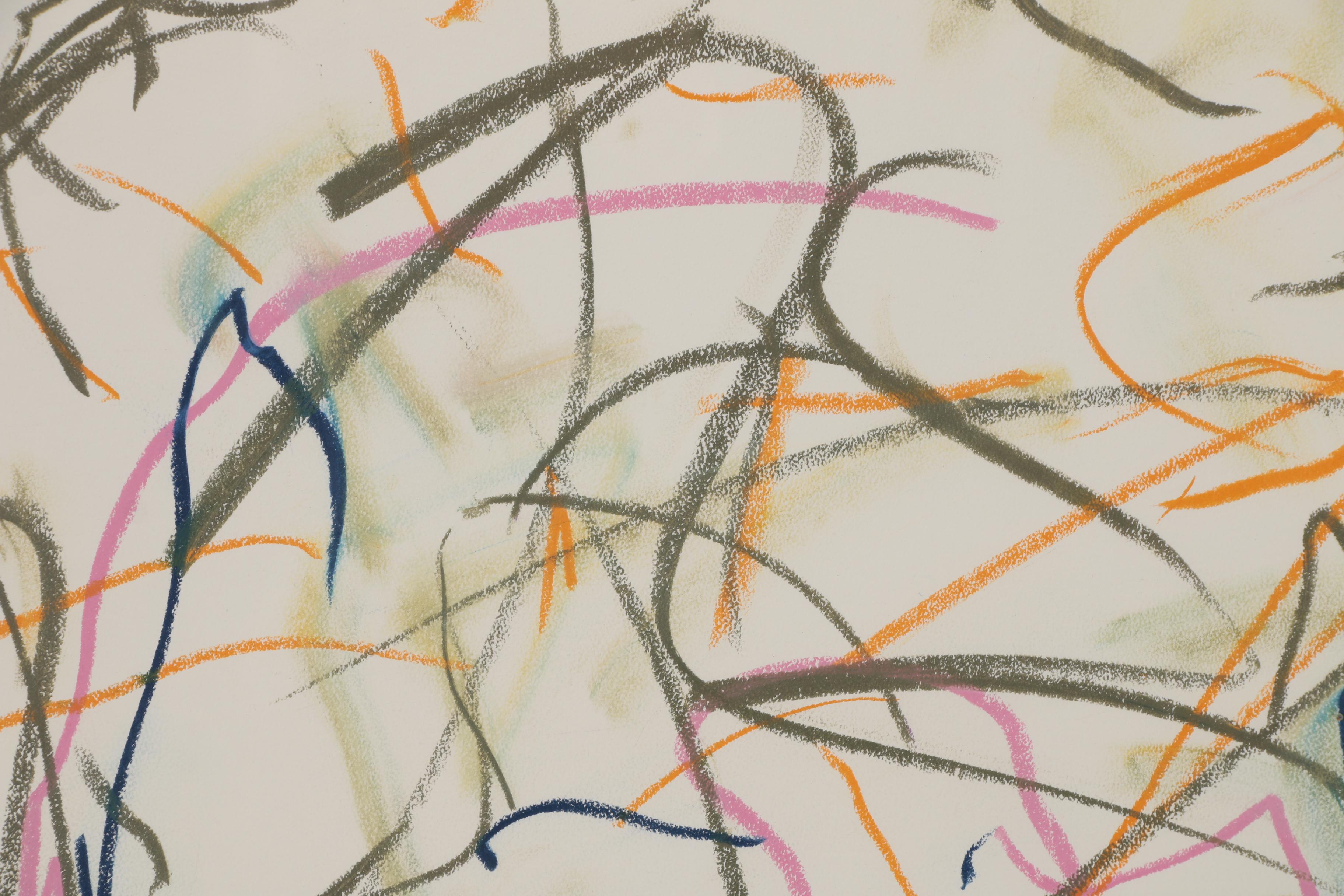 Nicholas Barbieri Abstract Mixed Media Drawing