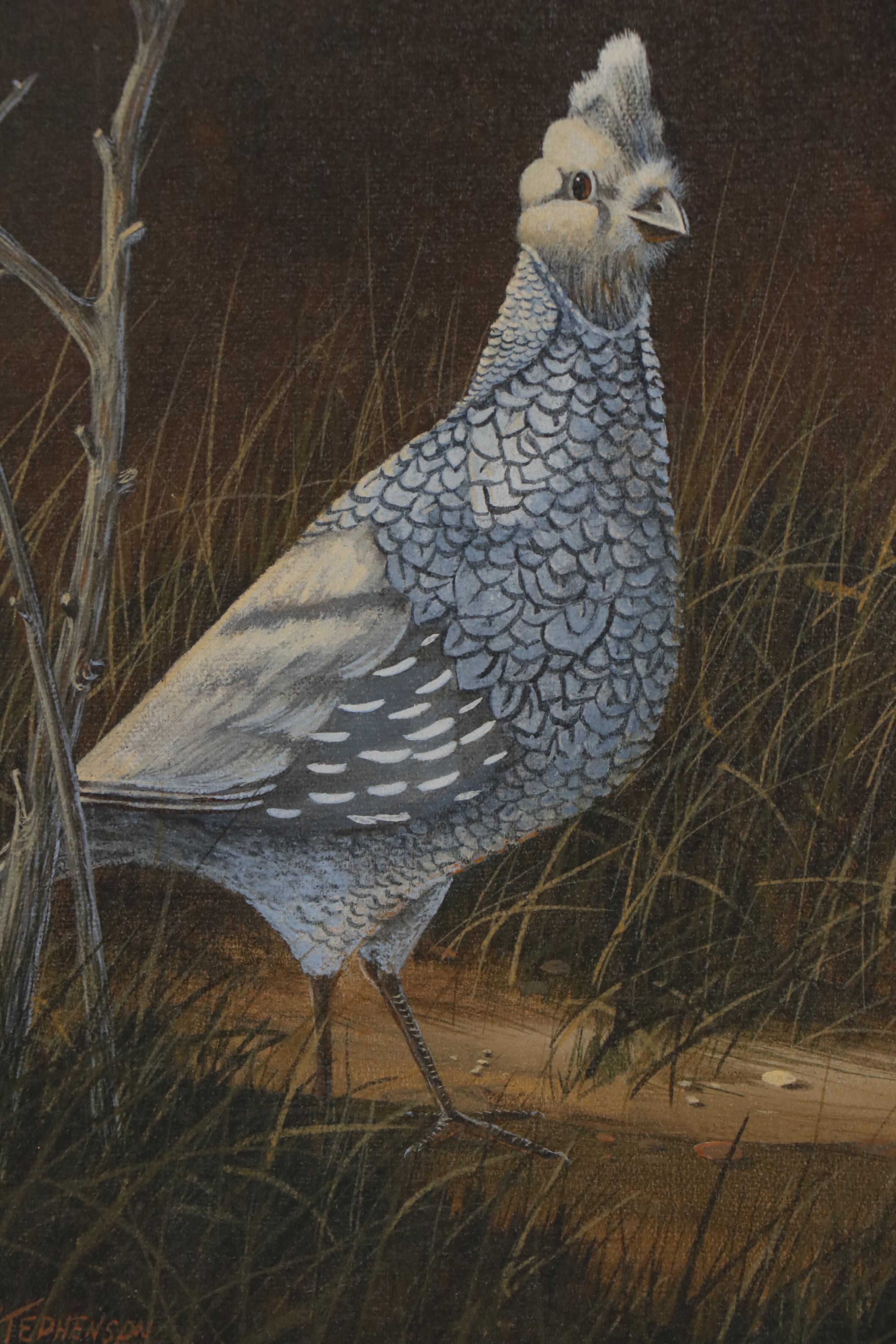 Ron Stephenson Wildlife Oil Painting, 1976