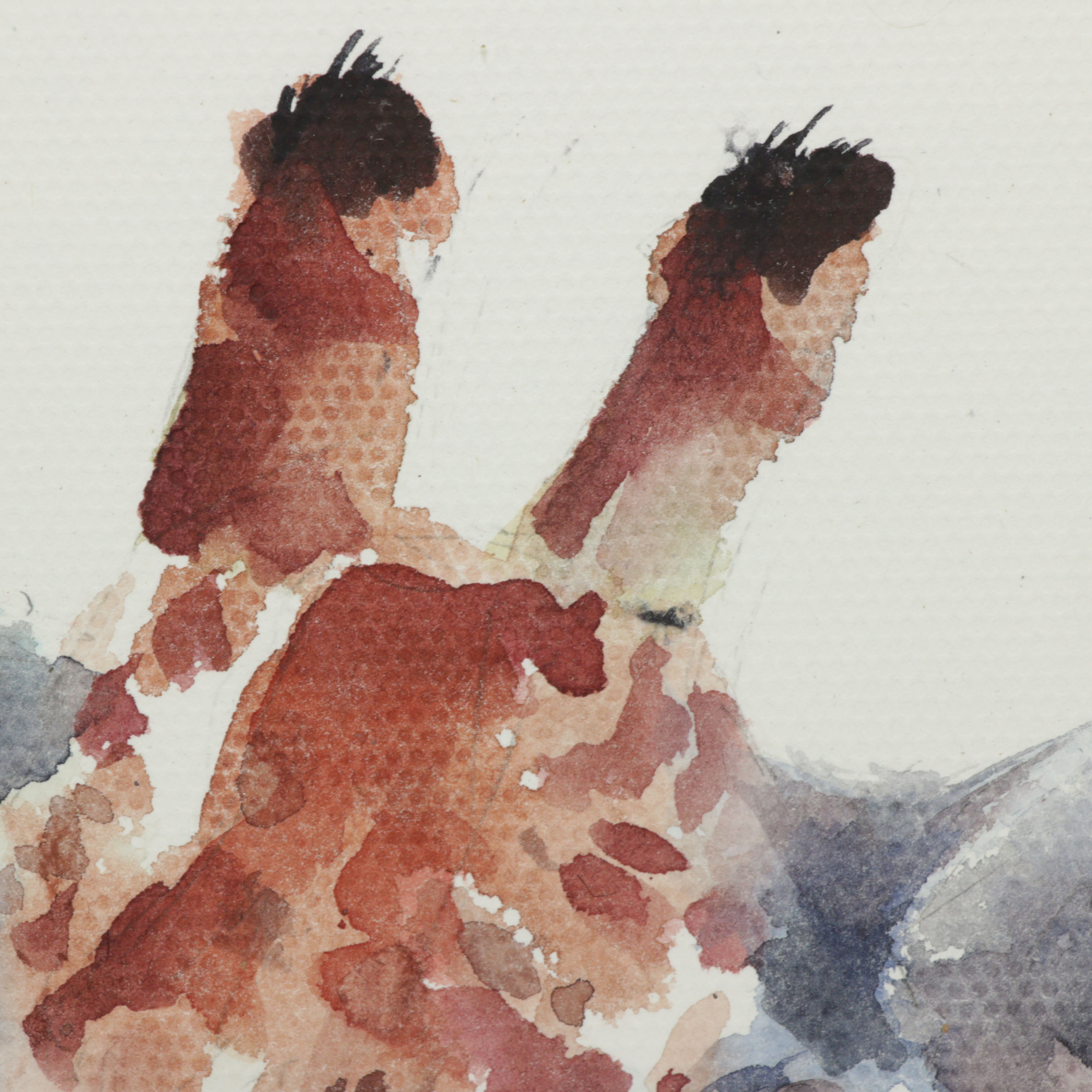 Watercolor Painting of  Giraffe