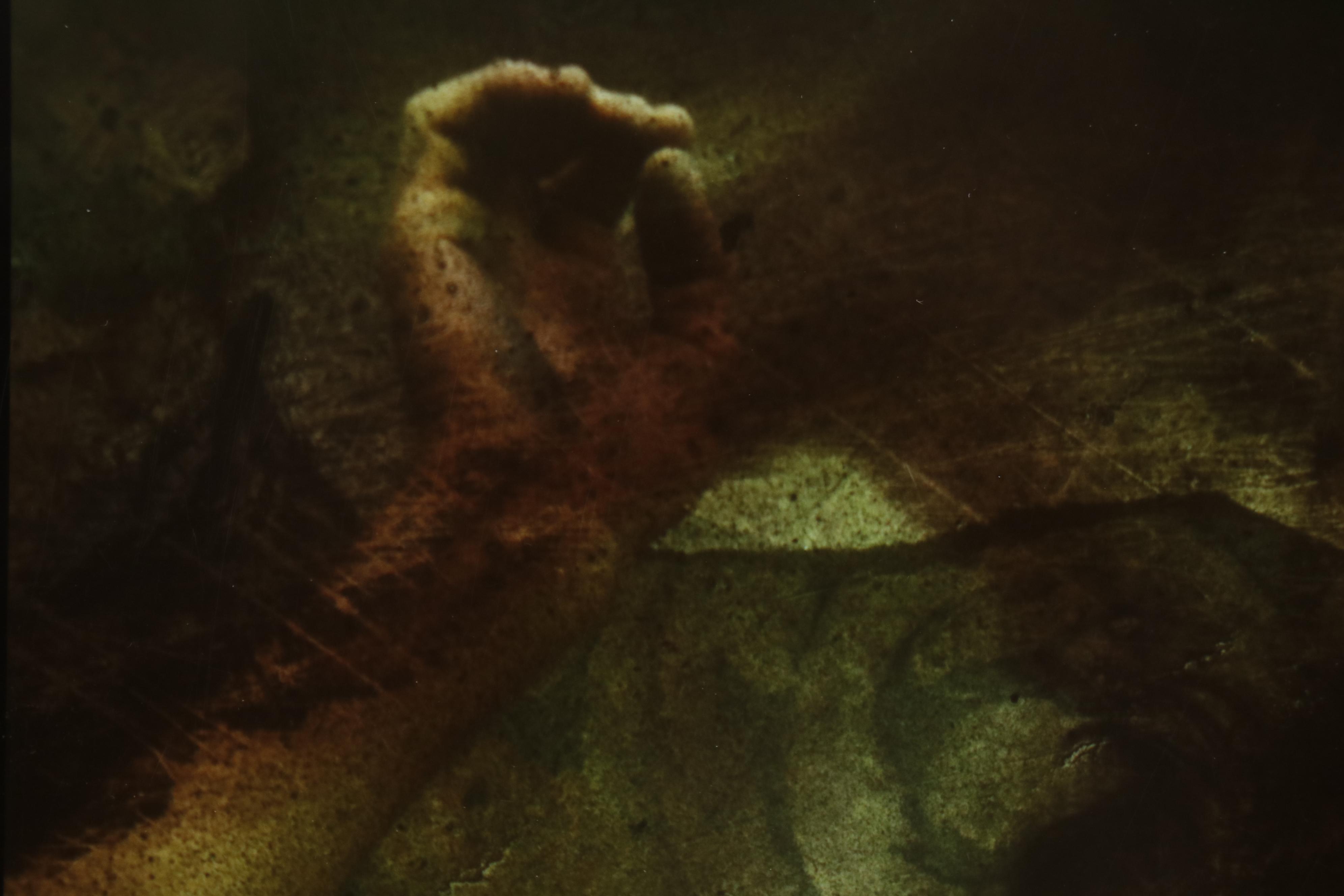 Barbara Hershey Abstract Figural Cliché Verre Photograph "The Fragility of Life"