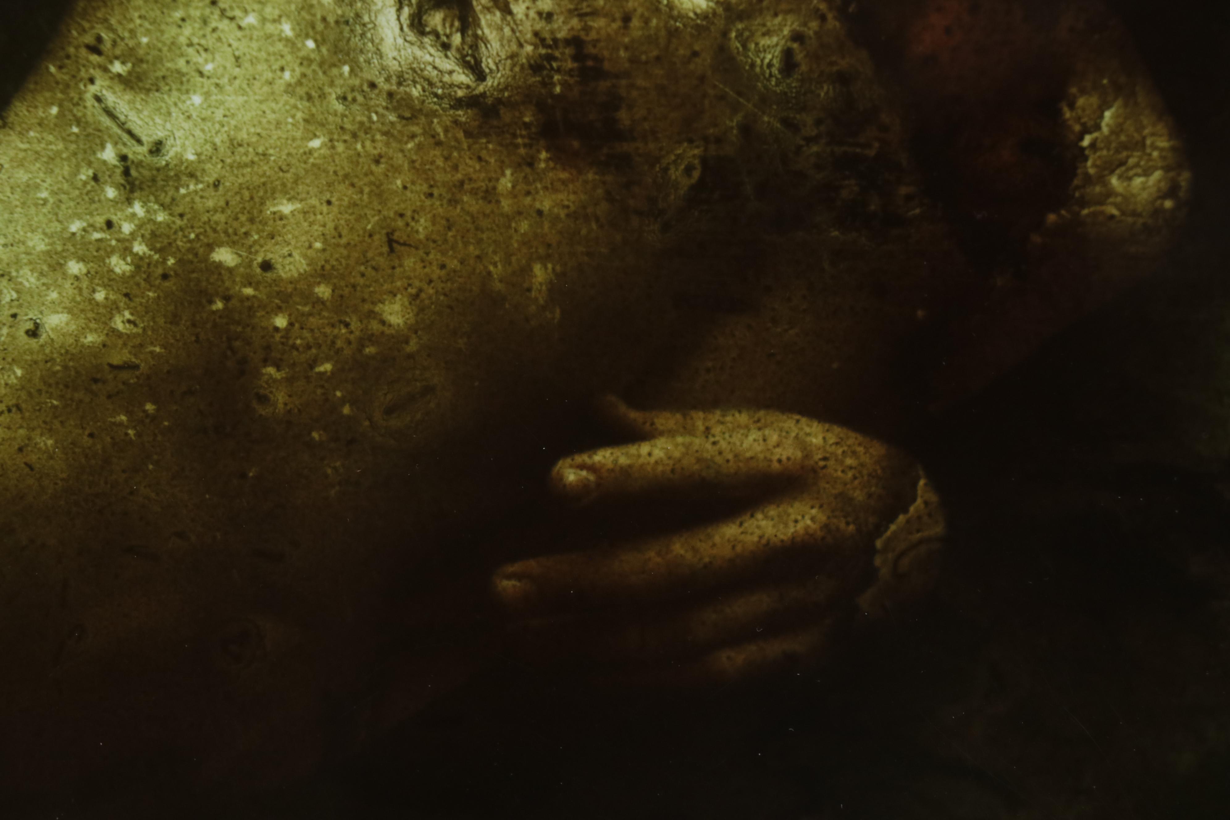 Barbara Hershey Abstract Figural Cliché Verre Photograph "The Fragility of Life"